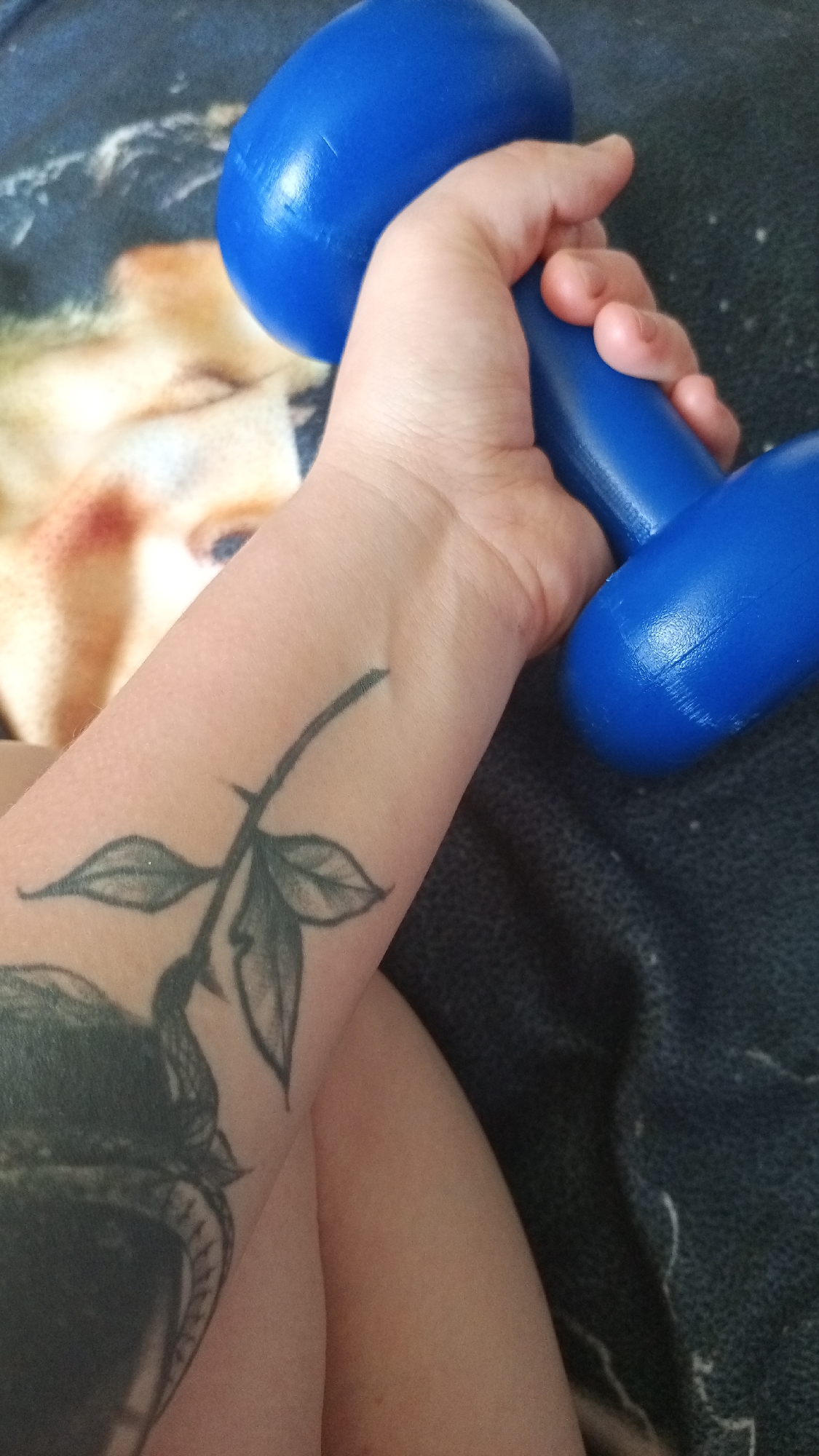 A person's arm is holding a blue dumbbell. The arm has a tattoo of a rose stem with leaves. The image also shows a small part of the person's lap and bedsheets. The location of the image is Уральское, Russia.