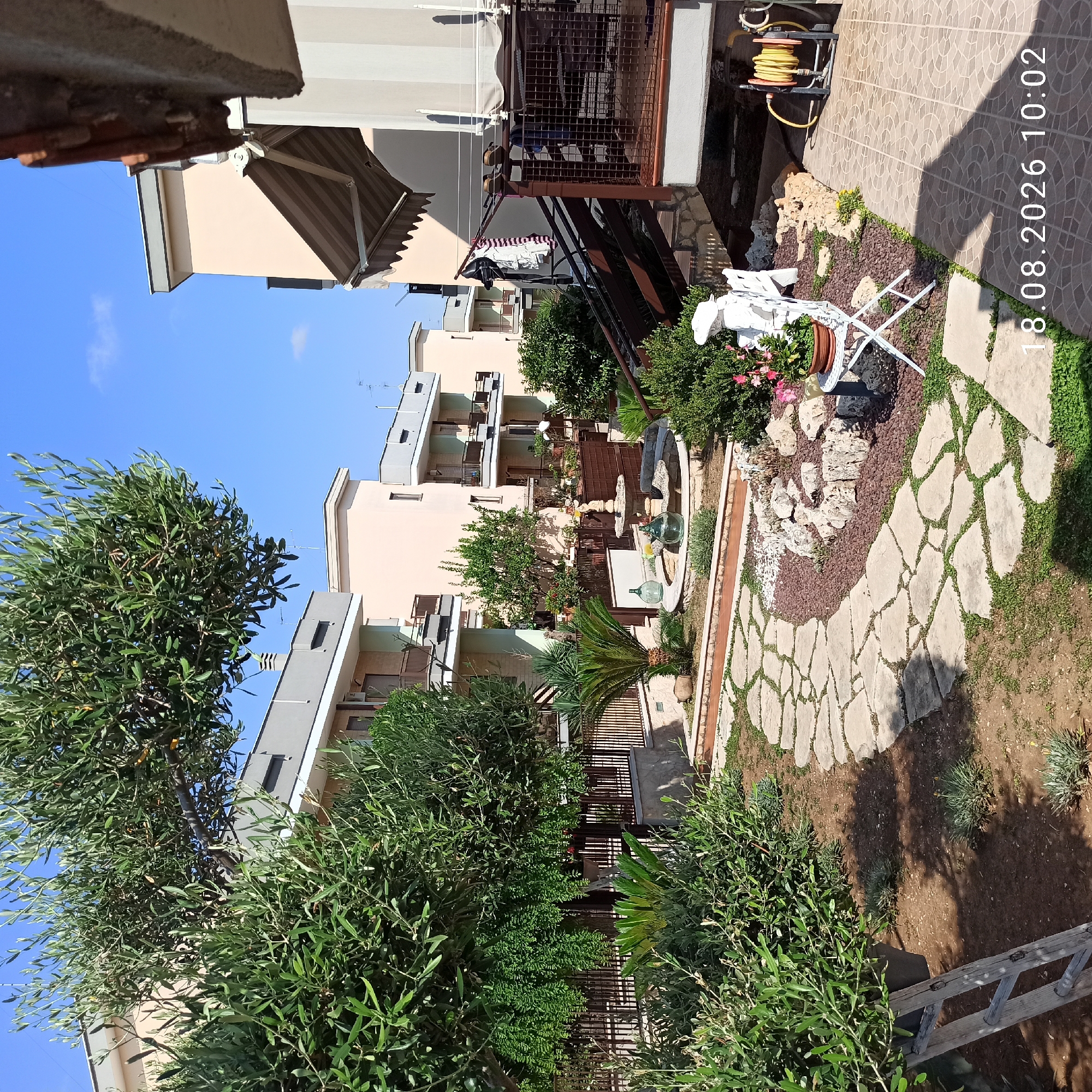 The image depicts a sunny outdoor scene in Bitonto, Italy, showing a courtyard or garden area adjacent to residential buildings. In the foreground, a stone pathway winds through a garden bed with various plants, including a large olive tree on the left. A small decorative fountain with glass demijohns is visible in the middle ground, surrounded by rocks and plants. A white metal table and chair, a white statue of a person, and a potted plant with pink flowers are also present. A brown fence runs behind the garden. Further back, multi-story buildings with light-colored facades and balconies are visible, suggesting an urban residential setting. A clothesline with some laundry hanging is strung between the buildings on the right. A yellow garden hose is coiled on a black reel near the buildings. The ground surface varies from soil and grass to stone pavers and tiled patio. The date stamp "18.08.2026 10:02" is overlaid on the lower right portion of the image.