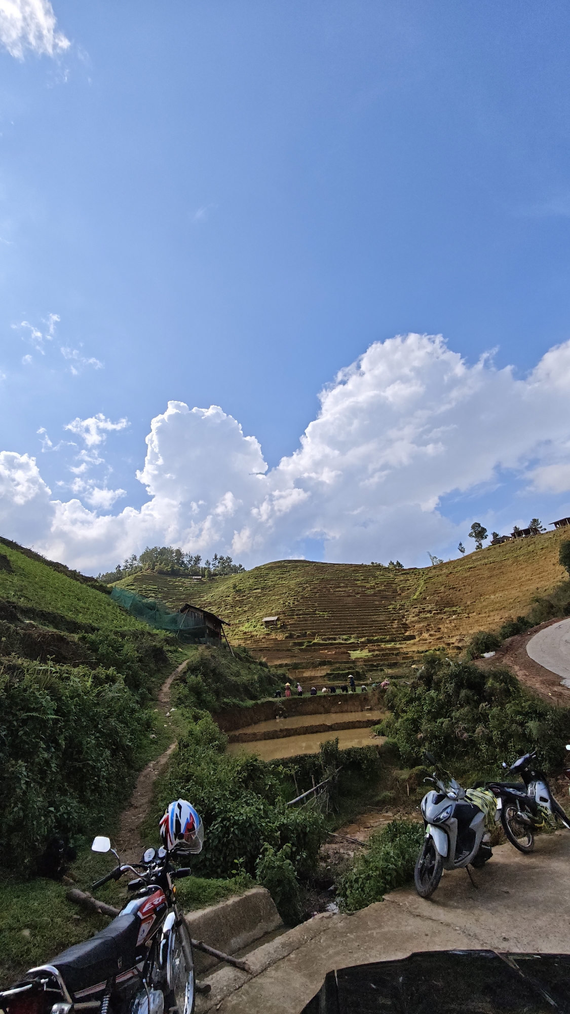 The image shows a rural scene in Ngã Ba Kim, Vietnam, with terraced rice paddies and a blue sky with cumulus clouds. In the foreground, there are two motorcycles parked on a concrete structure, with another motorcycle partially visible. Lush green vegetation surrounds the immediate area. In the middle ground, there are terraced rice paddies with people working in them. The terraced hills are dry on one side and green on the other, and there is a small wooden structure near the path. A paved road is visible on the upper right-hand side of the image.