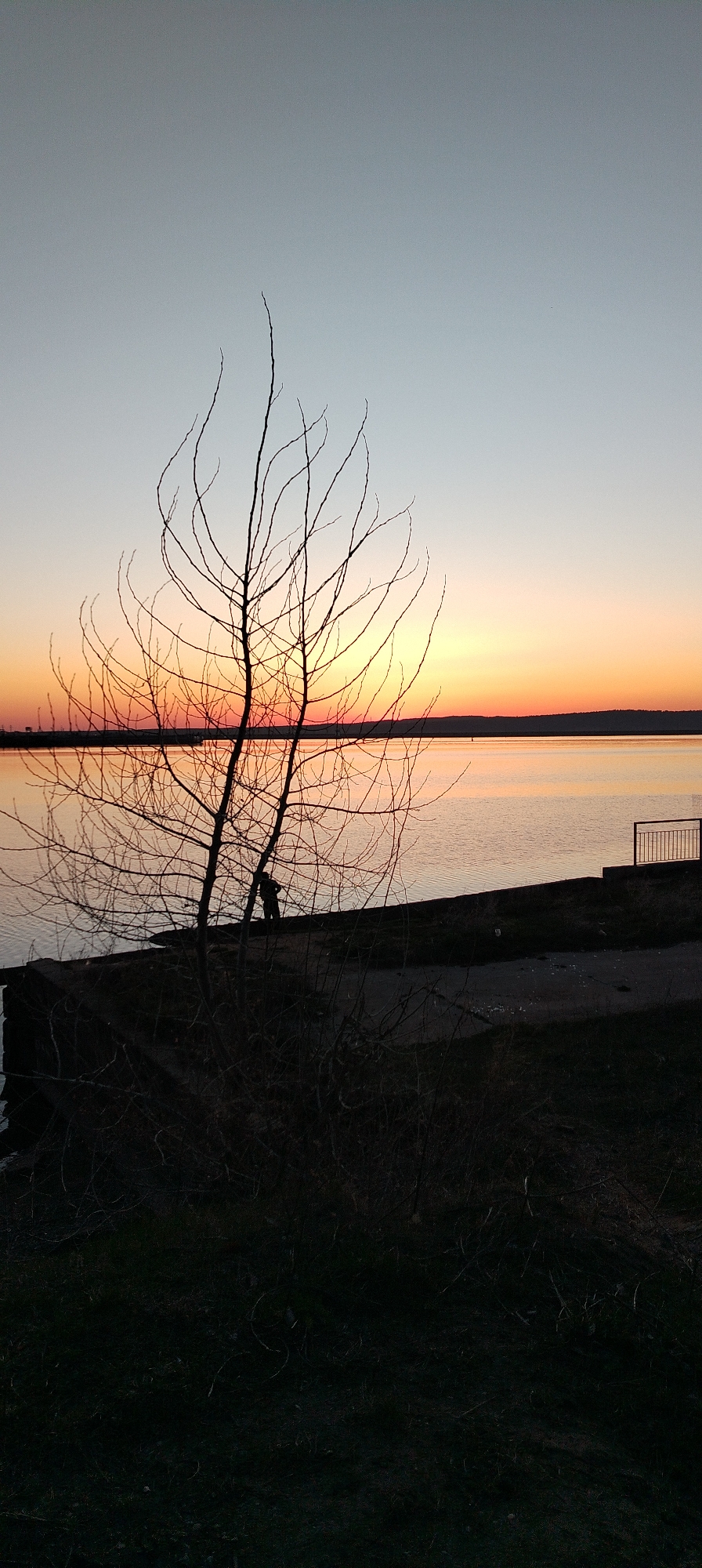 A lone leafless tree stands silhouetted against the backdrop of a sunset over water. The sky graduates from light blue to orange to a darker red-orange near the horizon. The water reflects the colors of the sky. The tree is located on the edge of a bank that leads down to the water. The foreground consists of dark, shadowed earth and foliage. A person is standing near a metal railing slightly right of the center of the image, obscured by the tree. The location appears to be a waterfront area in a city.