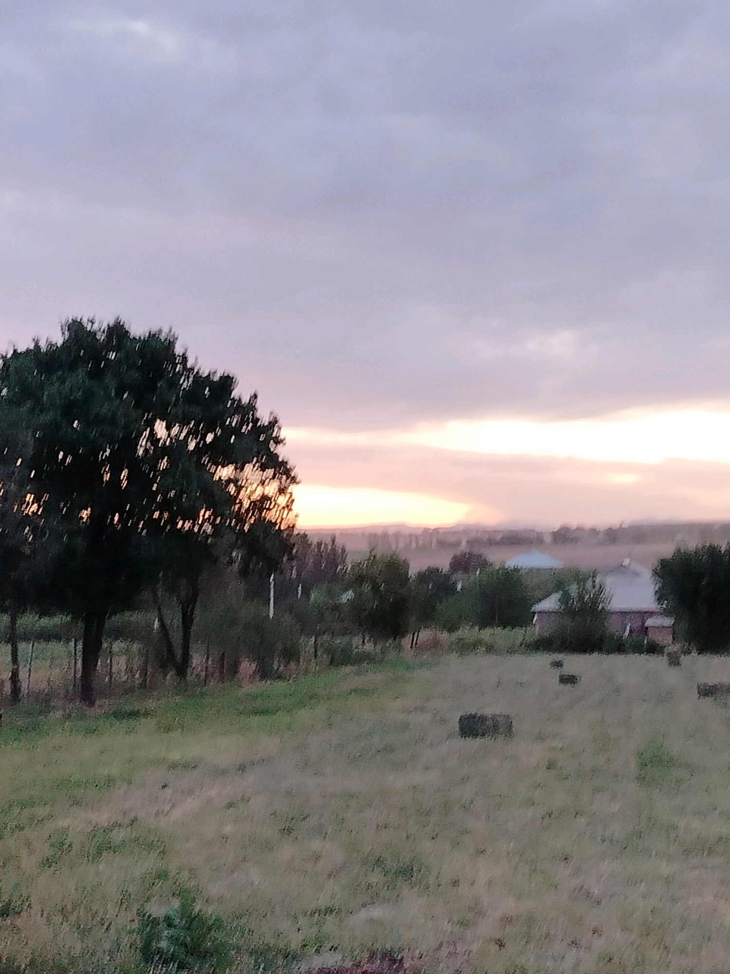 The image depicts a rural landscape, likely on the outskirts of the city of Көлкент, Kazakhstan. The scene captures a field with dry grass and several rectangular bales of hay scattered across it. In the middle ground, there are trees and a few buildings, including what appears to be a residential structure with a grey roof. The sky is overcast with a soft, muted light, suggesting either dawn or dusk, with a visible horizon line in the distance. The overall impression is one of quiet, agricultural country.