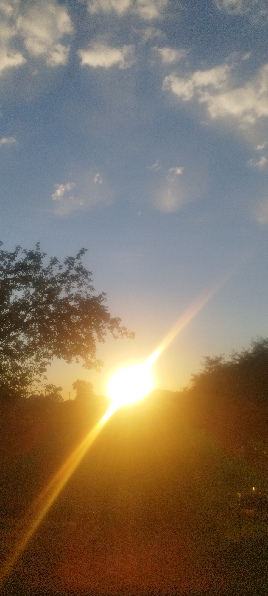 The image depicts a vibrant sunset over a rural landscape in the village of Siankou, within the Siankou Rural Council, Belarus. The sun, a bright, luminous orb, is positioned in the mid-right of the frame, emitting intense golden rays that stretch diagonally across the scene. Wispy clouds dot the clear blue sky above, catching the warm light of the setting sun. In the foreground, silhouetted trees frame the bottom edges of the image, their dark foliage contrasting with the bright sky. The overall impression is one of natural beauty and tranquility as day transitions into evening. There are no people or specific urban structures visible, suggesting a natural or semi-natural environment.