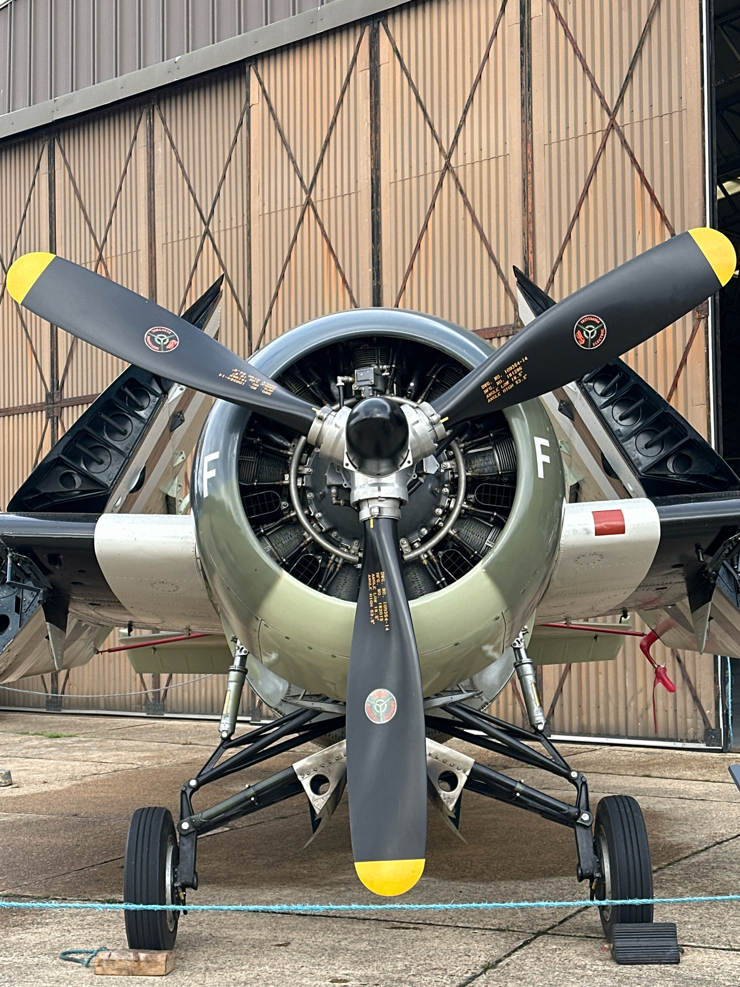 A front view of a parked vintage military airplane, likely a Grumman F6F Hellcat, is depicted. The aircraft has a radial engine prominently displayed at the nose, with two black propellers featuring yellow tips. The engine cowling is olive green, and the fuselage is a light gray with a white and red stripe on the side. The aircraft's landing gear is extended, with two wheels visible in the foreground. Behind the airplane, a large, corrugated metal hangar with crisscrossed supports is partially open, revealing the interior. The ground appears to be concrete or tarmac, with some scattered debris and a blue rope stretched across the foreground. The scene is set outdoors, likely at an airfield or aviation museum. The image does not show any people or specific identifiable landmarks of Cambridge, United Kingdom, other than it is an outdoor scene with a hangar.