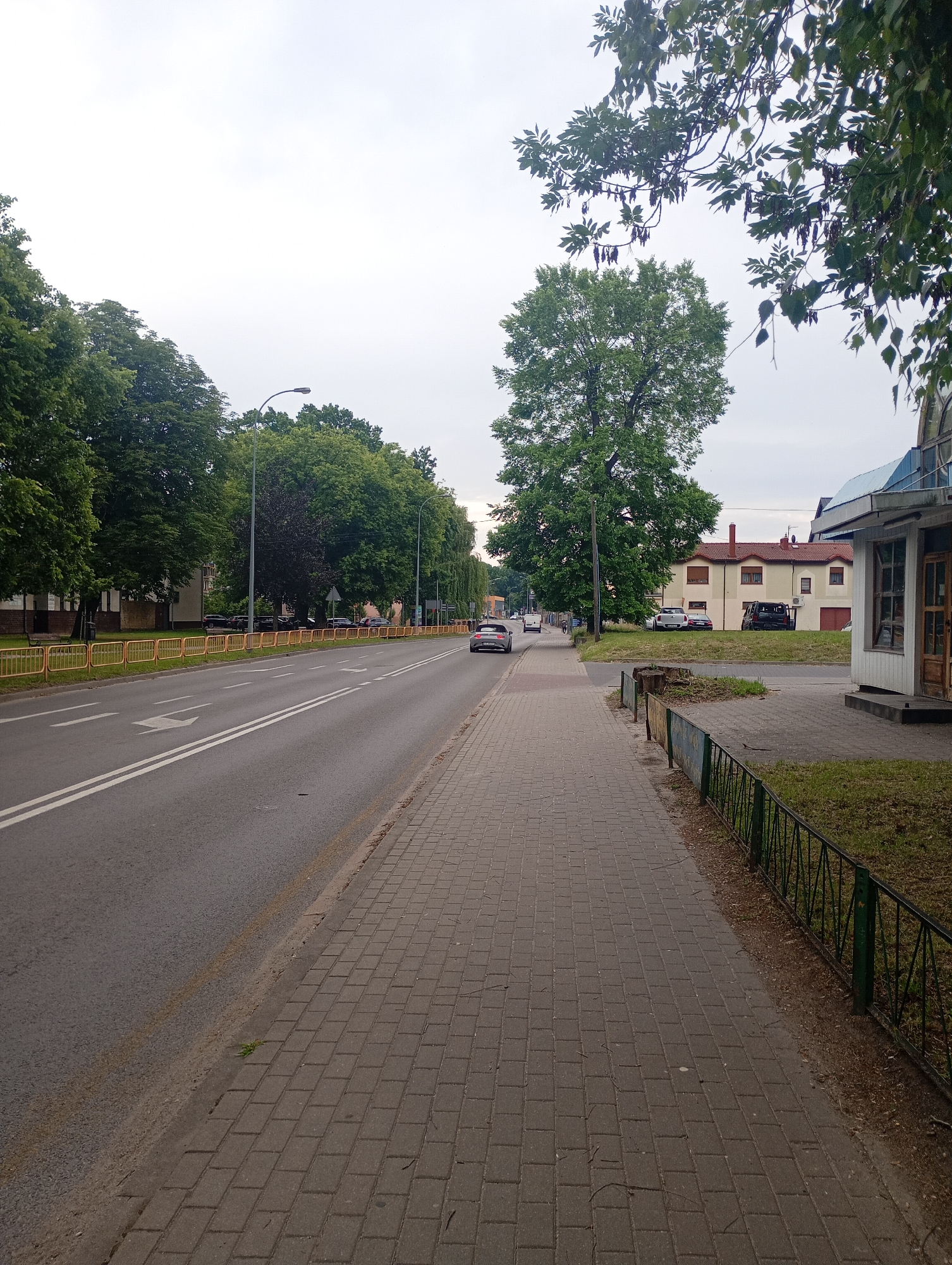 The image depicts a street scene in Międzyrzecz, Poland. A paved sidewalk runs alongside a multi-lane asphalt road. On the left side of the road, a yellow metal fence separates the street from a grassy area with trees and buildings. On the right side of the sidewalk, there is a green metal fence, grass, and a building with wooden doors and windows. Several cars are visible on the road, and a large tree stands prominently on the right side of the scene. The sky is overcast.