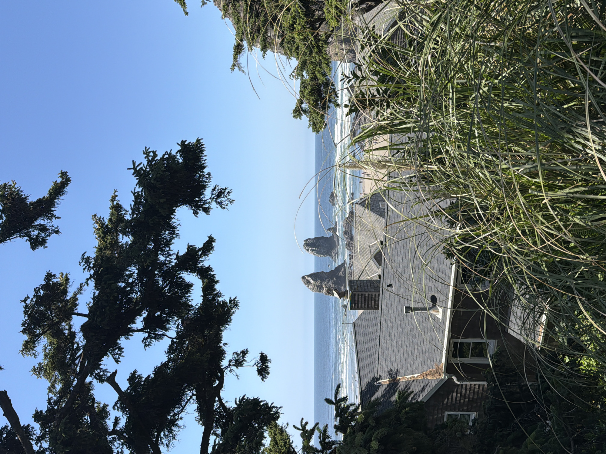The image captures a view of the coastline in Cannon Beach, Oregon, United States of America, with the iconic Haystack Rock prominent in the distance. In the foreground, dense green foliage, including tall grasses and evergreen branches, partially obscures the view of several houses with dark, shingled roofs and visible chimneys. A narrow sandy beach stretches along the ocean's edge, dotted with a few individuals. The ocean is a deep blue, with gentle waves rolling towards the shore under a clear, bright blue sky. The overall scene conveys a serene coastal landscape, characteristic of the Pacific Northwest.