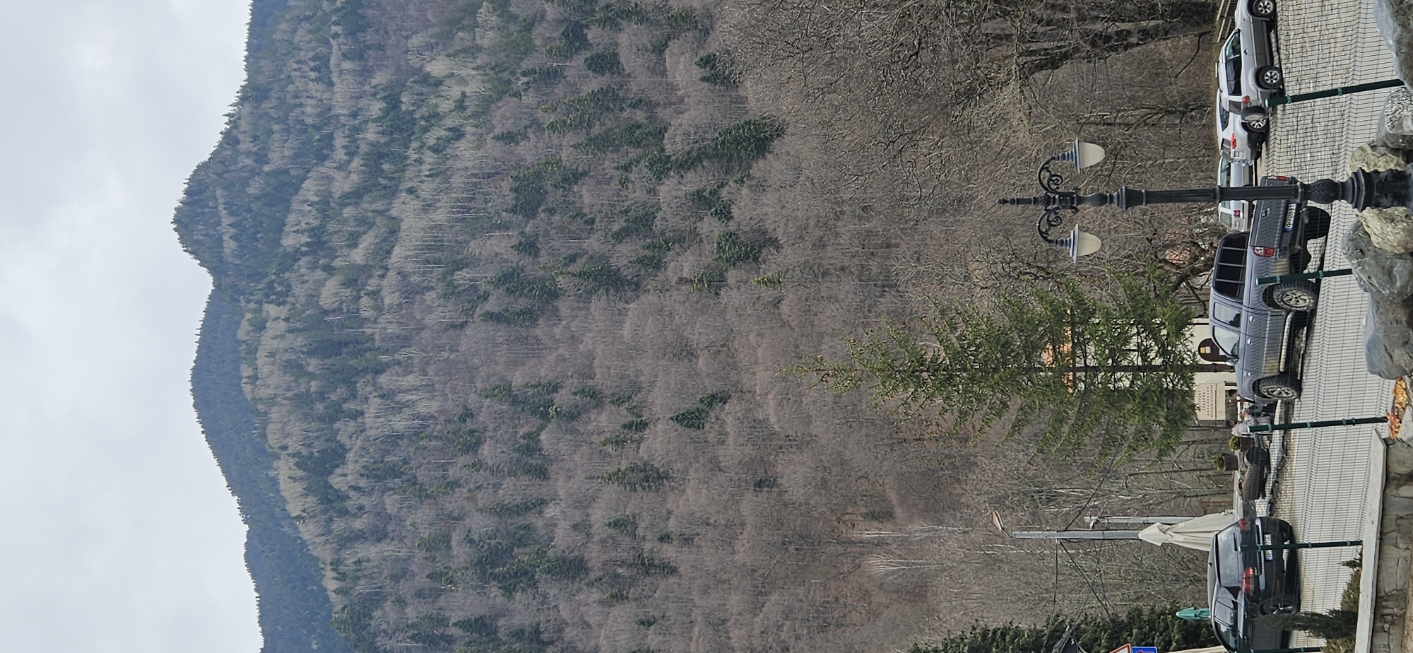 A vertical format photograph taken outdoors under an overcast sky depicts a mountainous landscape with a developed area at its base, located in the vicinity of Rilski manastir, Bulgaria.
The upper two-thirds of the image are dominated by a steep, densely forested mountain. The forest consists of a mix of bare deciduous trees, appearing light grey and brown, interspersed with dark green coniferous trees. The sky above is uniformly light grey, indicating overcast conditions.
The lower third of the image shows a transition to a developed area. A paved or gravel surface, appearing to be a parking area or road, slopes downwards from the left to the right. Several vehicles are present: a dark-colored hatchback, possibly a Volkswagen Golf, is parked on the left, facing away from the viewer. Centrally, a dark grey/blue four-door pickup truck, possibly a Ford Ranger, is parked at an angle, facing right. Mud is visible on the lower body of the pickup truck, and a Bulgarian license plate (e.g., B 9308 BT) is partially visible. To the right and further back, multiple silver/grey SUVs are parked.
A large, prominent green coniferous tree stands in the mid-center, partially obscuring a multi-story building behind it. This building features a reddish-brown tiled roof and light-colored walls. A sign with Cyrillic text, partially legible as "APART РЕСТОРАНТ" (Apartment Restaurant), is visible near the building. To the left of this main building, two large, folded white umbrellas or awnings are present. Several indistinct human figures are observed near the building and the pickup truck, engaging in unidentifiable actions. One figure appears to be standing near the rear of the pickup.
The immediate foreground features a low, dark green metal mesh fence running horizontally. To the right, an ornate black lamppost with two white spherical light fixtures is prominent. Grey boulders are arranged along the fence line on the right. To the left, a stone retaining wall is partially visible, behind which stands a modern utility pole with a single street light fixture.