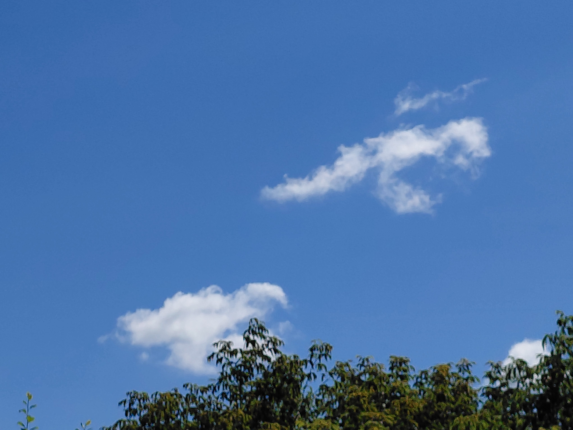 The image shows a clear blue sky with scattered white clouds. In the lower portion of the image, the tops of green trees are visible, indicating an outdoor scene, possibly in a park or residential area. The lighting suggests it is daytime. The image does not contain any people or specific landmarks that would allow for precise localization within Novokuybyshevsk, Russia.