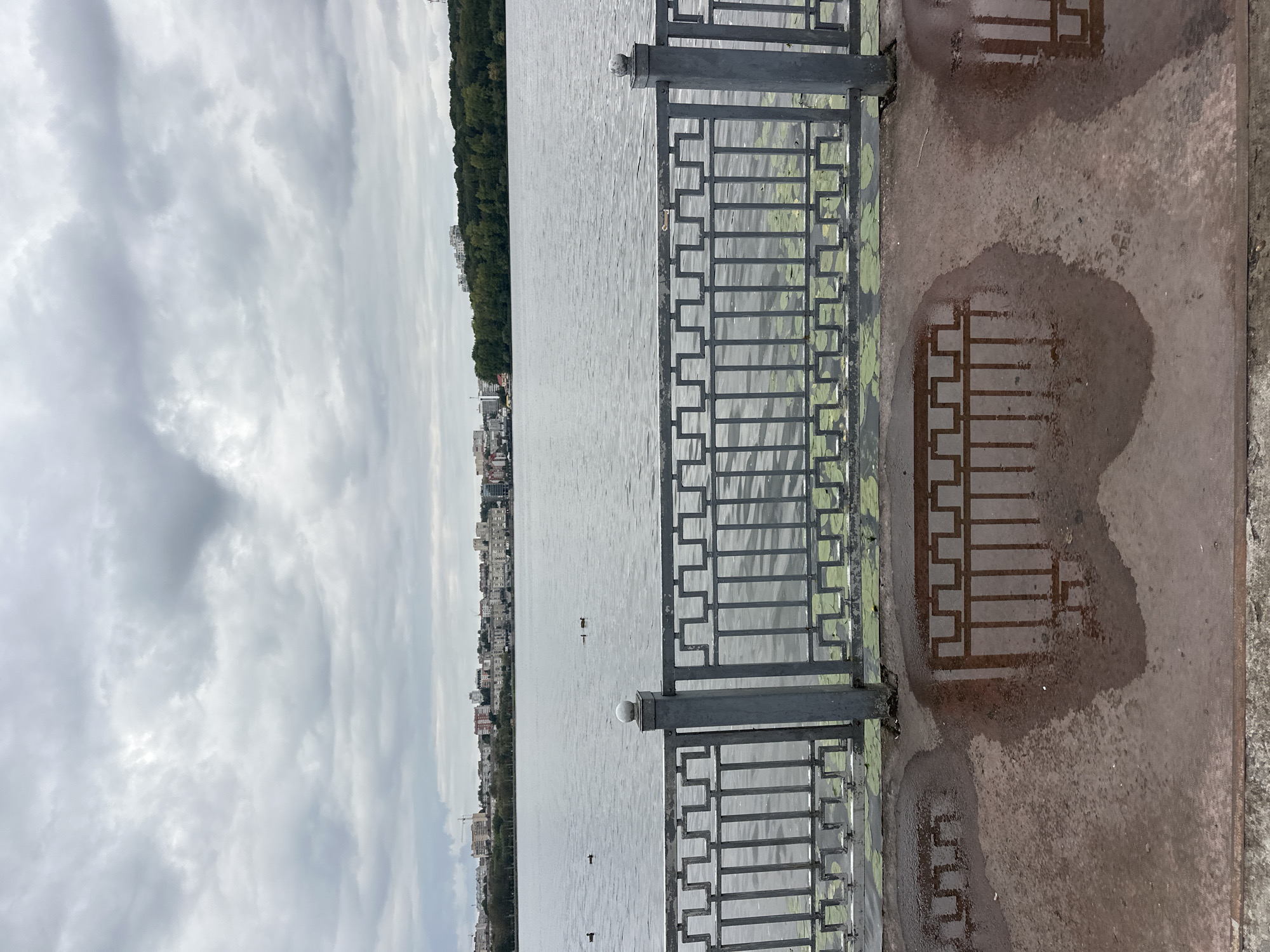 The image depicts a cloudy day at a waterfront in Ternopil, Ukraine. In the foreground, a dark metal railing with a geometric pattern separates the viewer from a body of water. Puddles on the paved ground in front of the railing reflect the railing's design. Several ducks are visible swimming on the water. In the background, a cityscape with buildings and a treeline can be seen across the water, under a gray, overcast sky. The overall scene suggests a calm, perhaps slightly melancholic, atmosphere typical of a cloudy day by a lake or river.