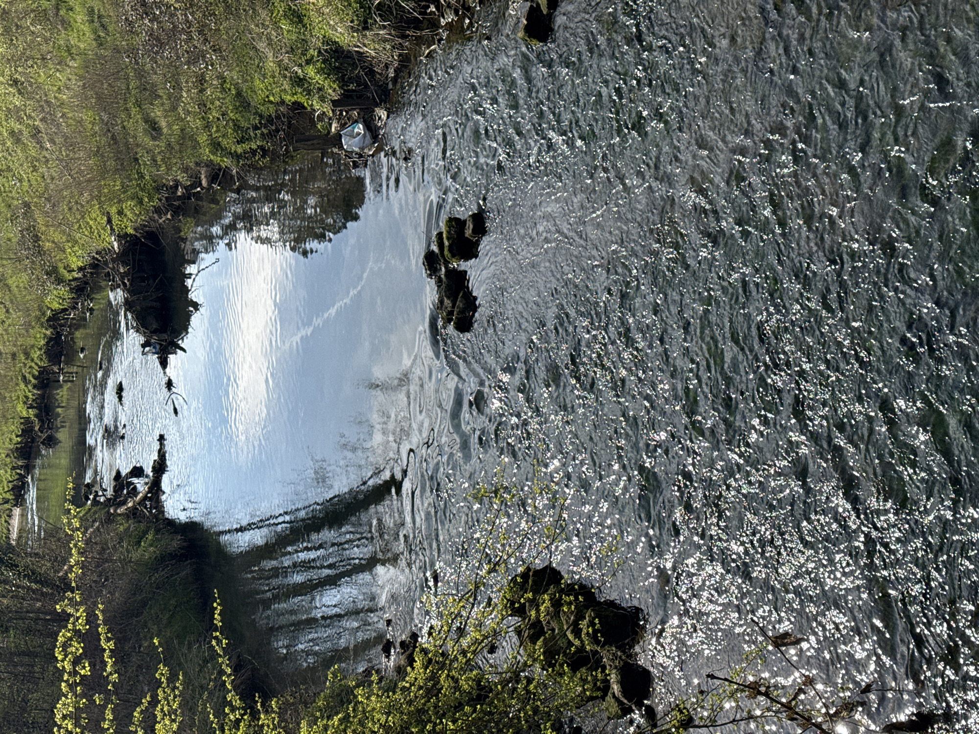A sideways shot of a small river in Esch-sur-Alzette, Luxembourg. The water flows from top to bottom, its surface reflecting sunlight. The banks are lined with green vegetation, including trees and bushes. Some debris is visible on the riverbank. The sky's reflection is seen in the water.