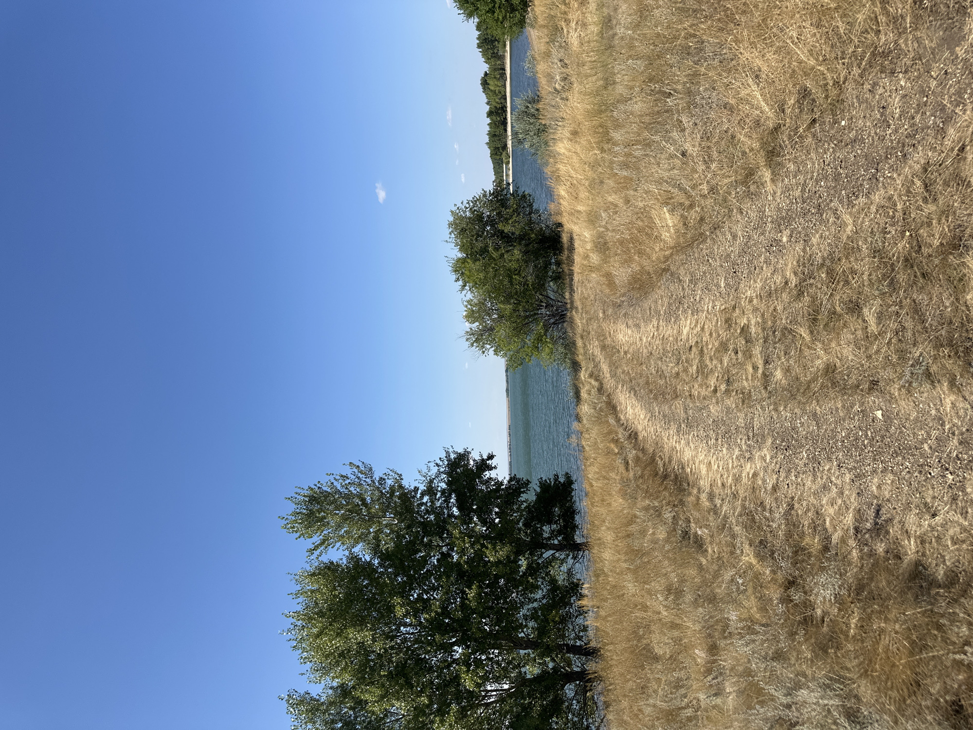 An outdoor, daytime, full shot captures a dirt path leading towards a wide expanse of water under a clear blue sky. The path, a light brown color, is flanked by dry, golden grass and sparse grey-green vegetation. On the left side of the image, a cluster of three mature trees with dense green foliage stand near the water's edge. The water itself is a deep blue-green, with a gentle ripple on its surface. In the distance, the opposite shore is lined with a dense row of trees, and beyond that, a faint horizon is visible under the vast sky, where a single, small white cloud drifts. The scene suggests a natural, undeveloped area, possibly a park or a natural reserve within the city of Gornyi Erik, Russia, offering a peaceful view of the waterfront.