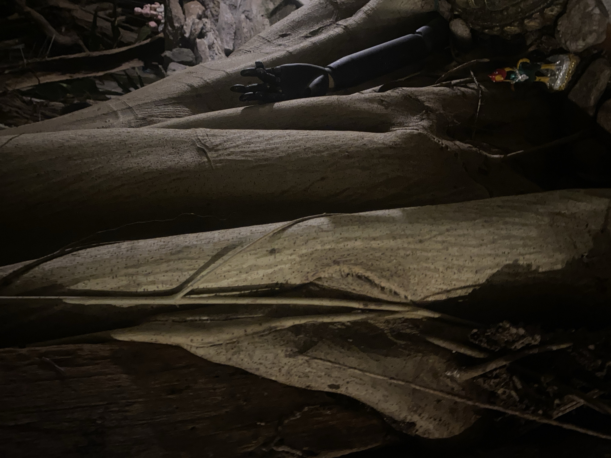 The image depicts an indoor scene in Baan Don Sai, Thailand, where large, light-colored tree roots are prominently featured. A black, articulated wooden hand and forearm rest on one of the roots. A small, colorful figurine, possibly a deity or a character of Thai origin, is positioned near the upper right corner. The scene is dimly lit, casting shadows and obscuring details in the background, where more roots and debris are visible. The overall atmosphere suggests a setting within a building or structure where tree roots have become a significant element of the environment.