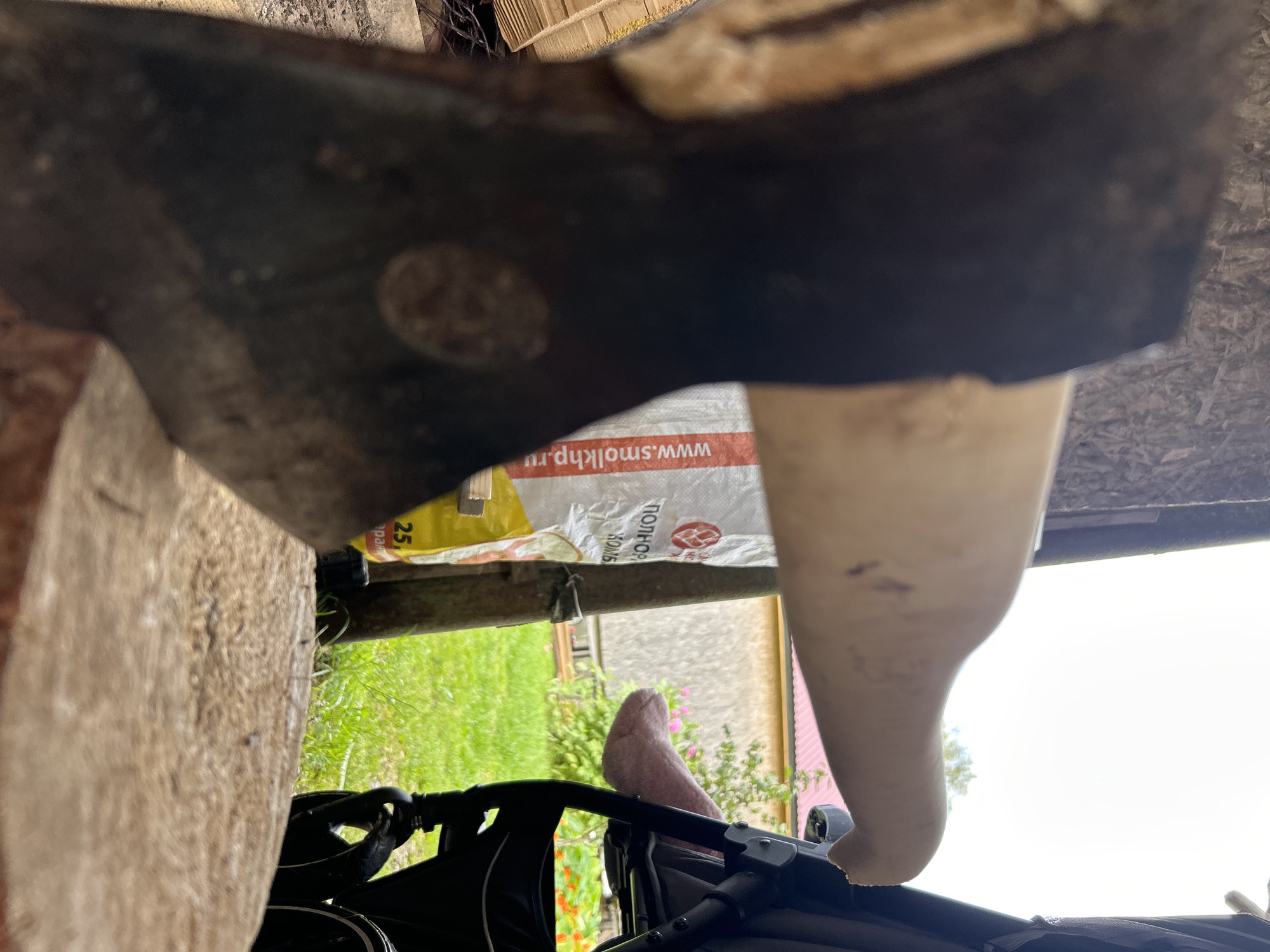 The image, taken in the village of Kalitsino, Russia, shows a close-up of an axe head resting on a wooden surface. In the background, a white bag with Russian text, including "www.smolkmp.ru" and "ПОЛНОР", is visible. A stroller with a pink stuffed animal is also present. The environment appears to be outdoors, with green grass and a building with a pink roof. The lighting suggests it is daytime.