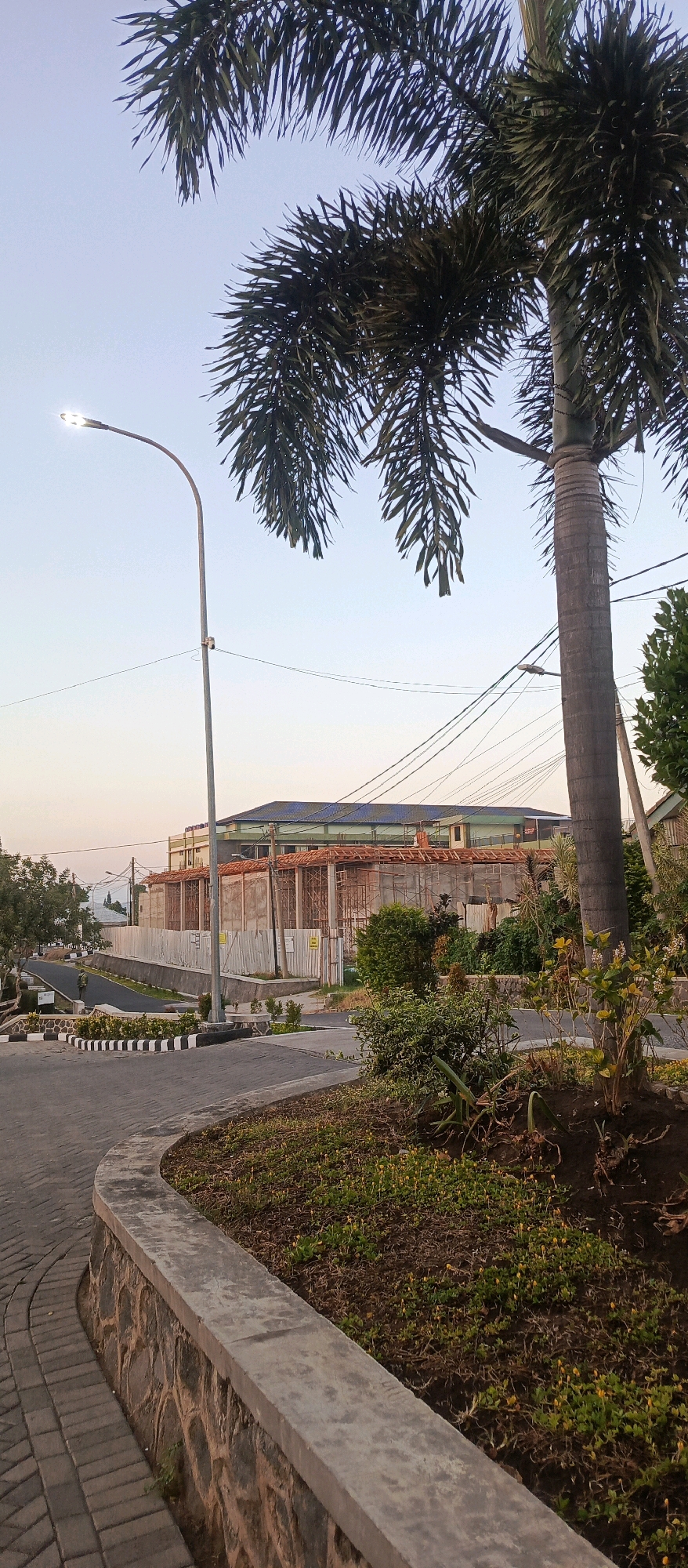 The image depicts a street scene in Batu, Indonesia, with a prominent palm tree in the foreground. The sky is clear and pale, suggesting either early morning or late afternoon. A tall, modern lamppost with its light illuminated stands to the left of the palm tree. In the background, a multi-story building is under construction, with scaffolding visible and unfinished walls. The street is paved, and there is a paved walkway or sidewalk on the left. A curved stone wall borders a patch of green foliage and dry earth in the foreground. Power lines crisscross the sky above the construction site.