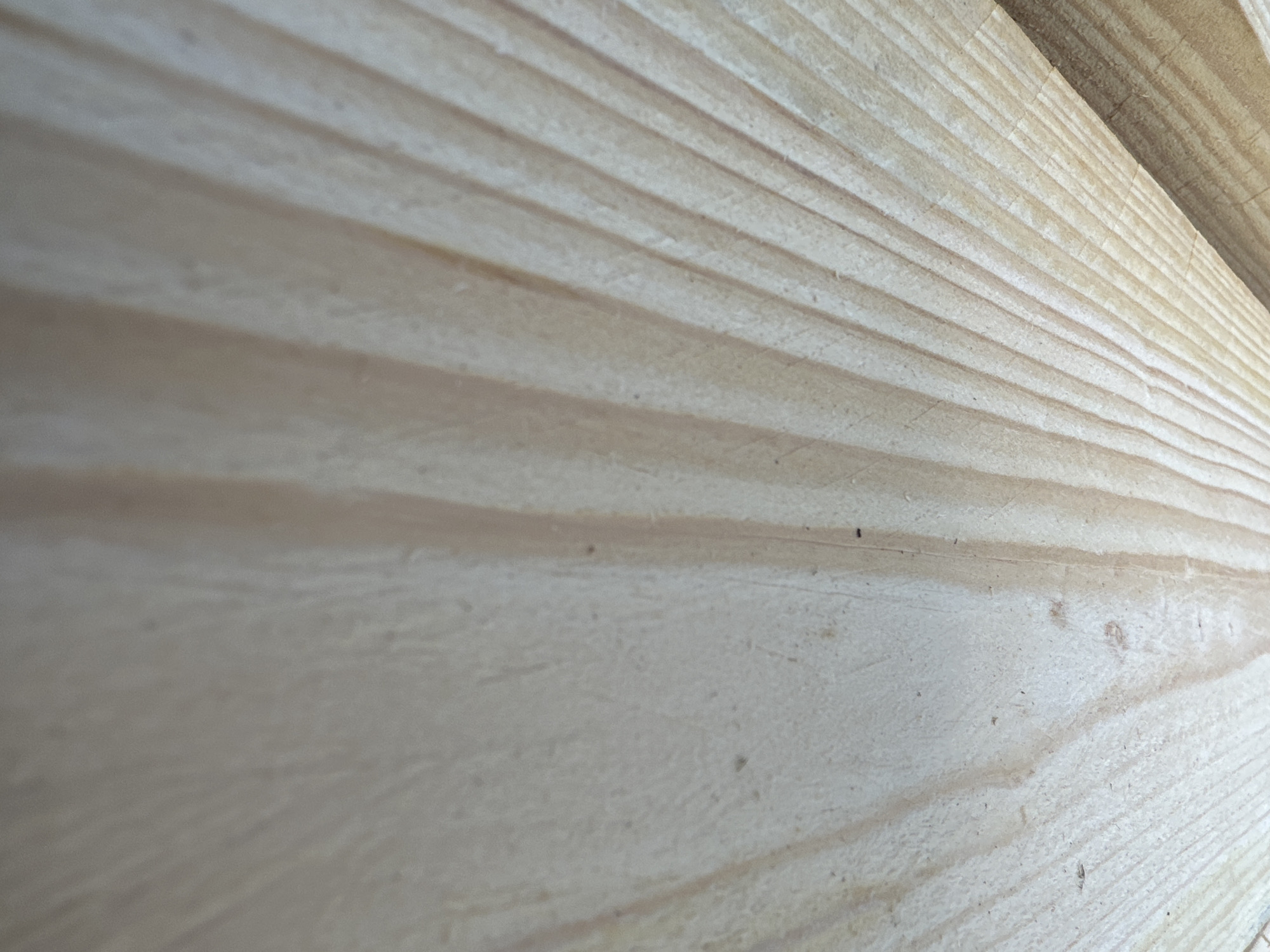 The image is a close-up, angled view of light-colored, unfinished wood planks. The wood grain is prominent, with darker lines running parallel to each other. The surface appears slightly rough and has a few small, dark specks, likely dust or debris. The lighting casts subtle shadows that accentuate the texture of the wood. No other objects, people, or environmental details are visible, and there is no indication of a specific location within Wismar, Germany.