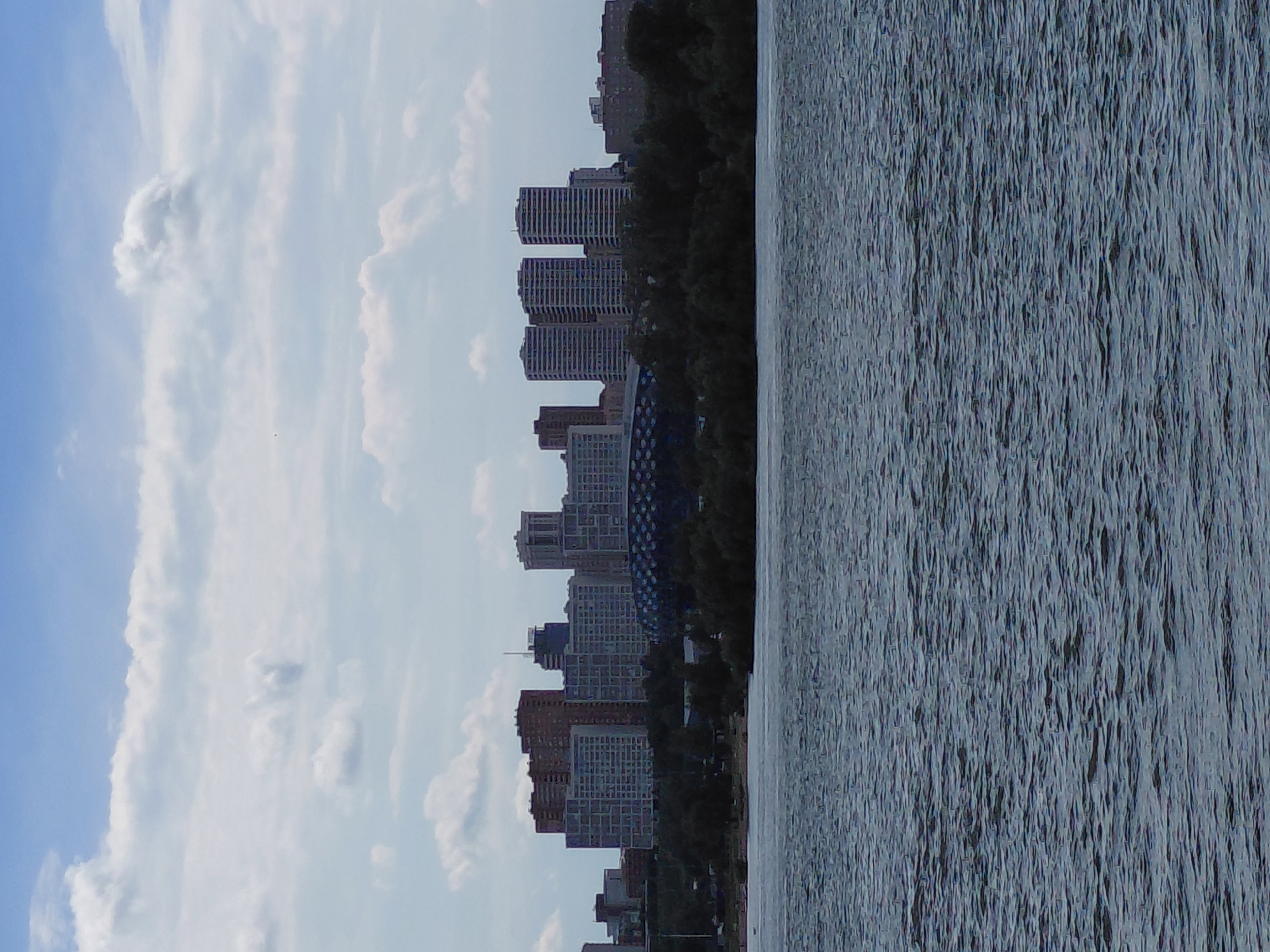 This is a photograph of the Novosibirsk skyline, taken from across the Ob River. In the foreground, the dark, choppy water of the river fills the bottom half of the frame. In the middle ground, a line of lush green trees obscures the base of the city. Behind the trees, a collection of modern high-rise buildings, predominantly residential complexes, rise into the sky. Notable among them are several tall, rectangular apartment blocks with repeating window patterns. To the right, a distinctive domed structure with a geometric, mosaic-like facade is visible, likely a sports or entertainment arena. The sky above is a pale blue, scattered with fluffy white clouds. The scene depicts a typical urban panorama of a city situated on a large river, under an overcast sky.