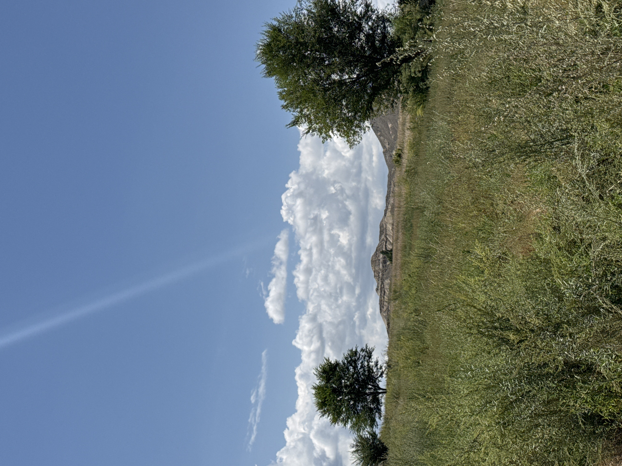 The image depicts a scenic landscape under a bright blue sky with scattered white clouds. In the foreground, tall green grass and vegetation cover a rolling hill. Two trees are visible on the left side of the frame, with another larger tree dominating the right side. In the background, undulating hills and rock formations are present, suggesting a natural, possibly arid environment. The sky features a distinct sunbeam or atmospheric phenomenon streaking diagonally across the upper portion of the image. The scene is devoid of any human presence or man-made structures, portraying a tranquil, natural setting. The location is identified as Kara Talaa, Kyrgyzstan.