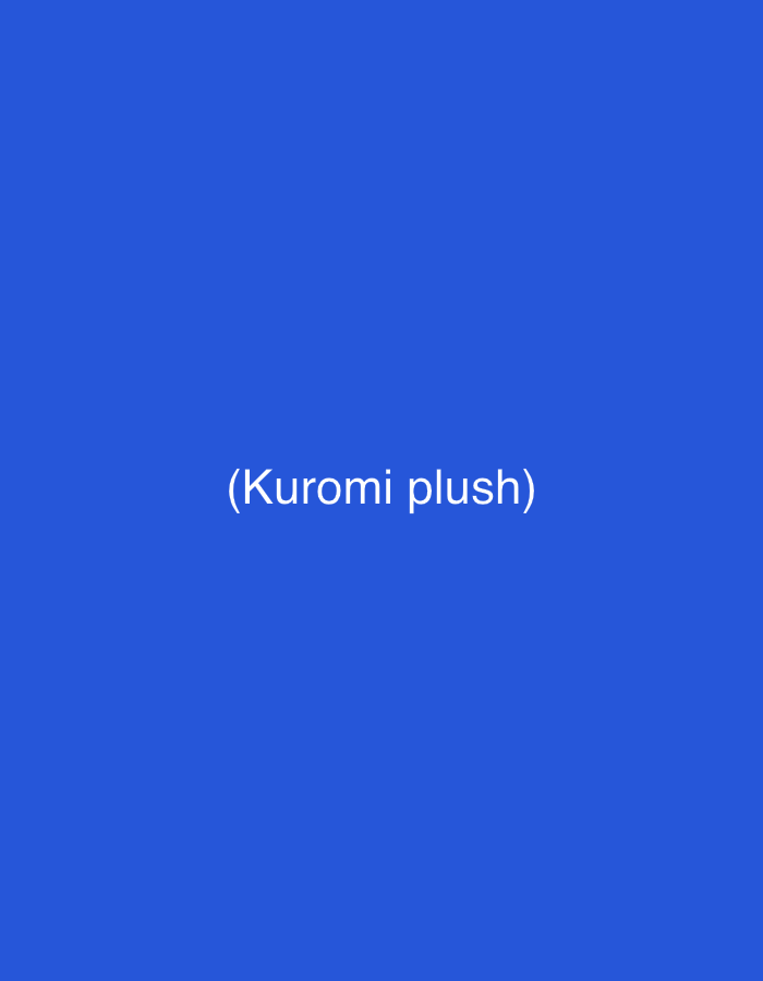 A blue image contains the text "(Kuromi plush)" in the center.