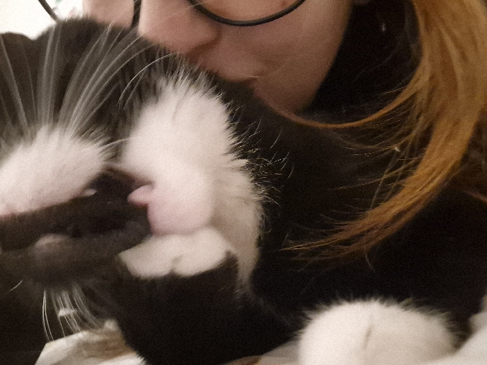 A black and white cat is closely nestled against a person's face. The cat's paw is up near its mouth, appearing as if it's cleaning or chewing. The person wears black-rimmed glasses. Parts of their face are visible along with strands of light reddish-brown hair. The scene is intimate, highlighting the bond between a person and their pet.