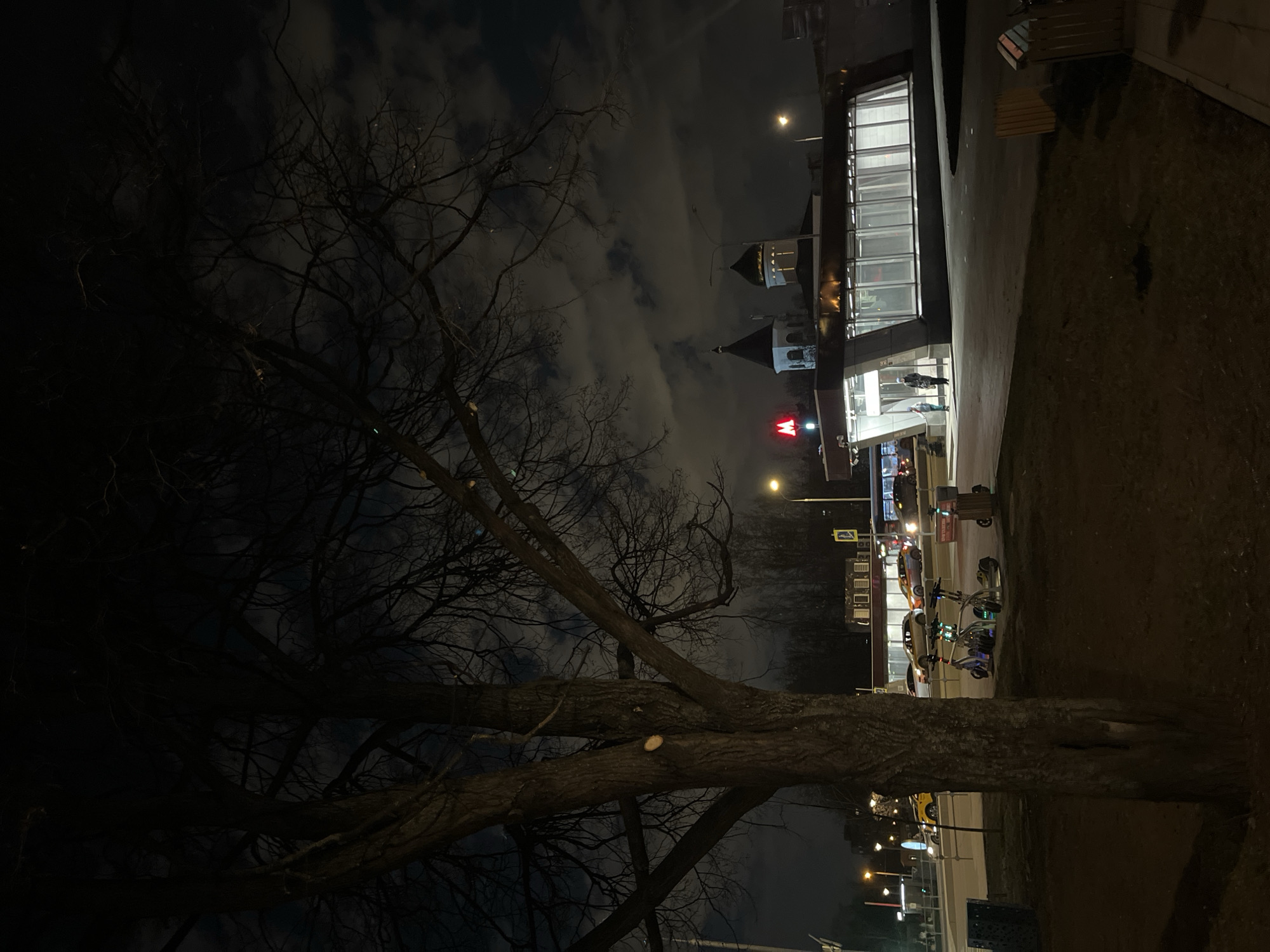 At night in Moscow, Russia, a Metro station is visible. The modern building contrasts with traditional architecture in the background. A bare tree occupies the foreground. Several scooters are parked near the station entrance, where a few people are present. Streetlights illuminate the scene. The sky is overcast.