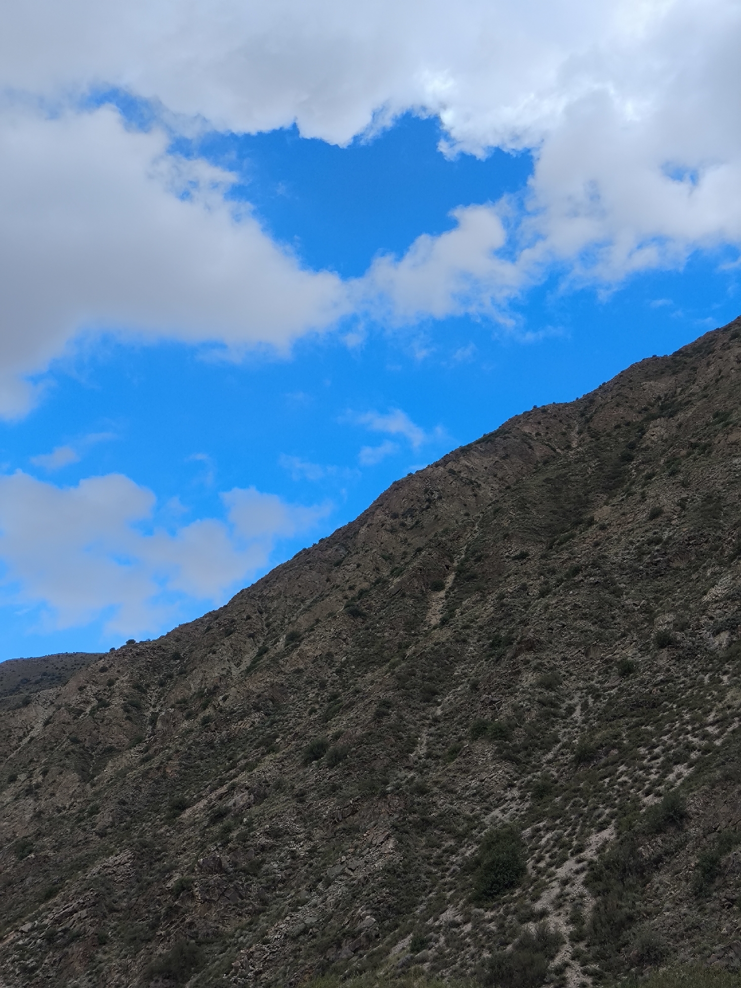 The image captures a steep, rocky mountainside covered in sparse, dry vegetation. The mountain occupies the lower two-thirds of the frame, with its peak extending out of view towards the upper left. The sky above is a vibrant blue, punctuated by scattered white clouds, some of which are wispy and others more dense. The lighting suggests it is daytime. The image does not contain any people, animals, or man-made structures, suggesting a natural, undeveloped environment. The location is specified as the city of Bolshevik, Kyrgyzstan.