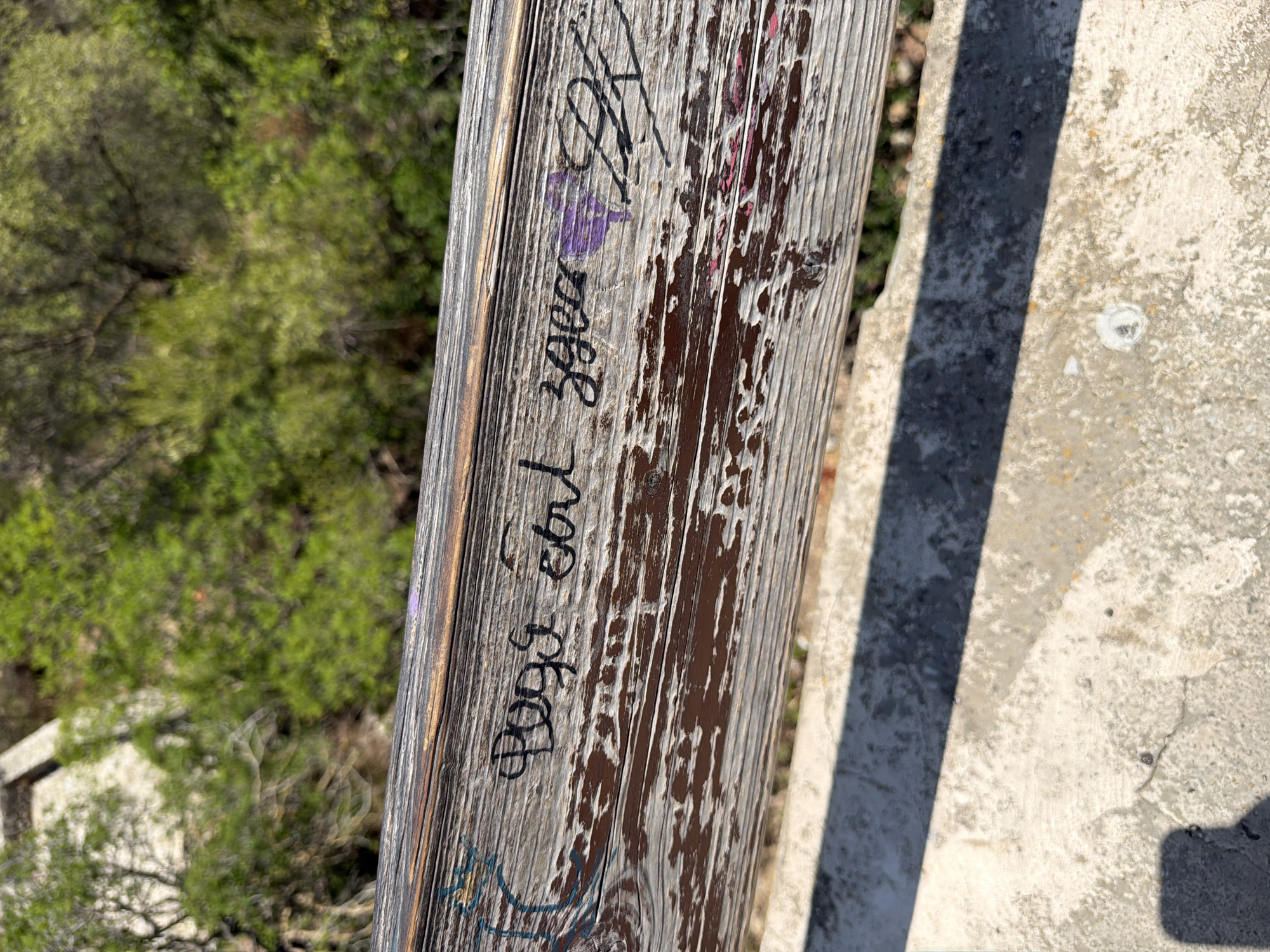 The image shows a wooden railing with graffiti on it. The graffiti is in black marker and includes what appears to be Russian text and some drawings. The railing is weathered and shows signs of peeling paint. In the background, there are trees and foliage, suggesting an outdoor setting. The ground in the foreground is concrete. While the image is taken in Palma de Mallorca, Spain, no specific landmarks or identifiable locations within the city are visible in this particular shot. The focus is on the railing and the graffiti.