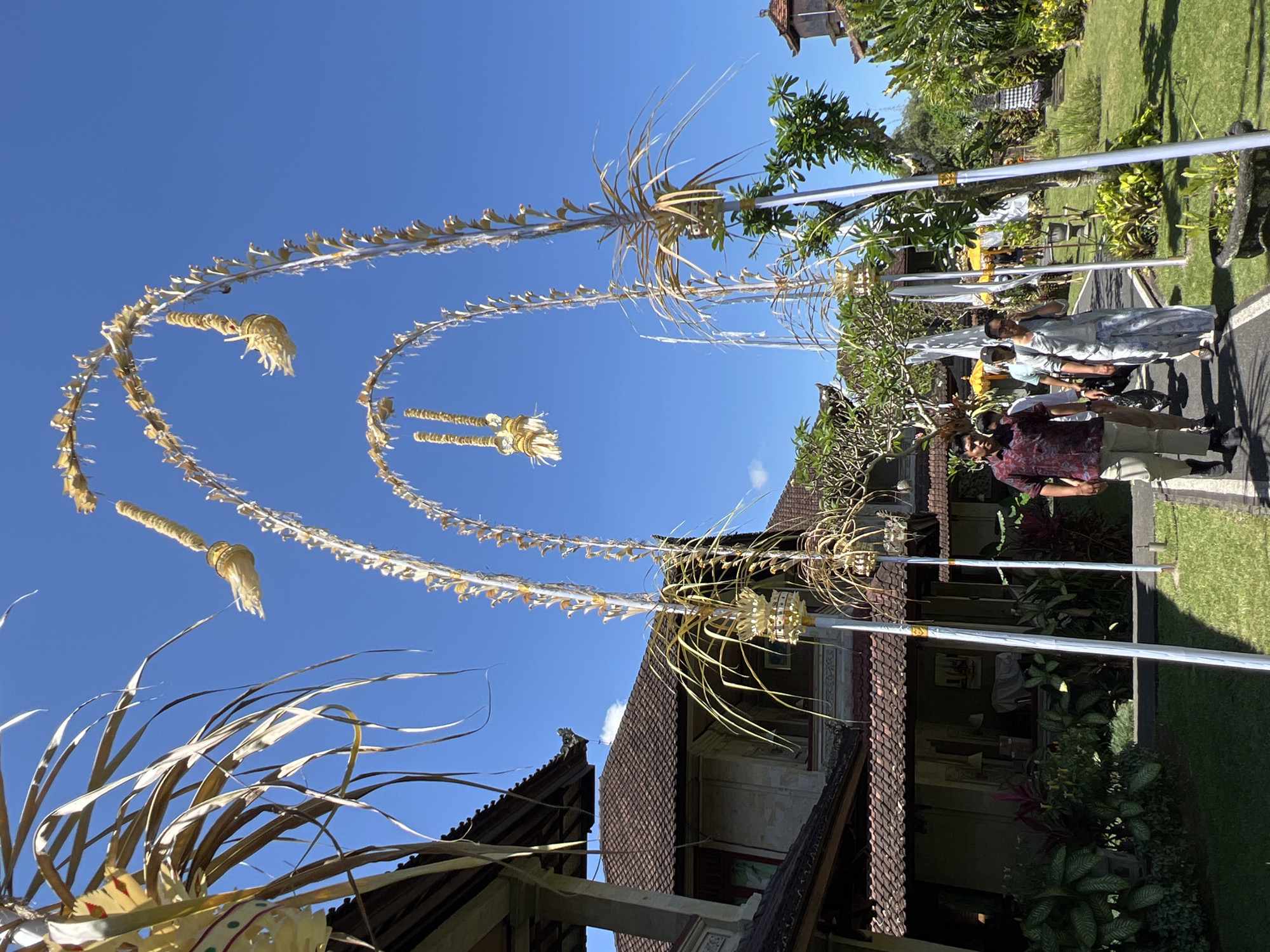 The image, taken in Ubud District, Indonesia, showcases a decorative arrangement against a clear blue sky. The arrangement appears to consist of curved poles adorned with dried plant materials and embellishments. These poles are placed along a pathway, creating an arched effect.
In the background, traditional Balinese architecture is visible, with tiled roofs and intricate detailing. Some people are walking along the path. The environment is lush, with trees and well-maintained greenery.