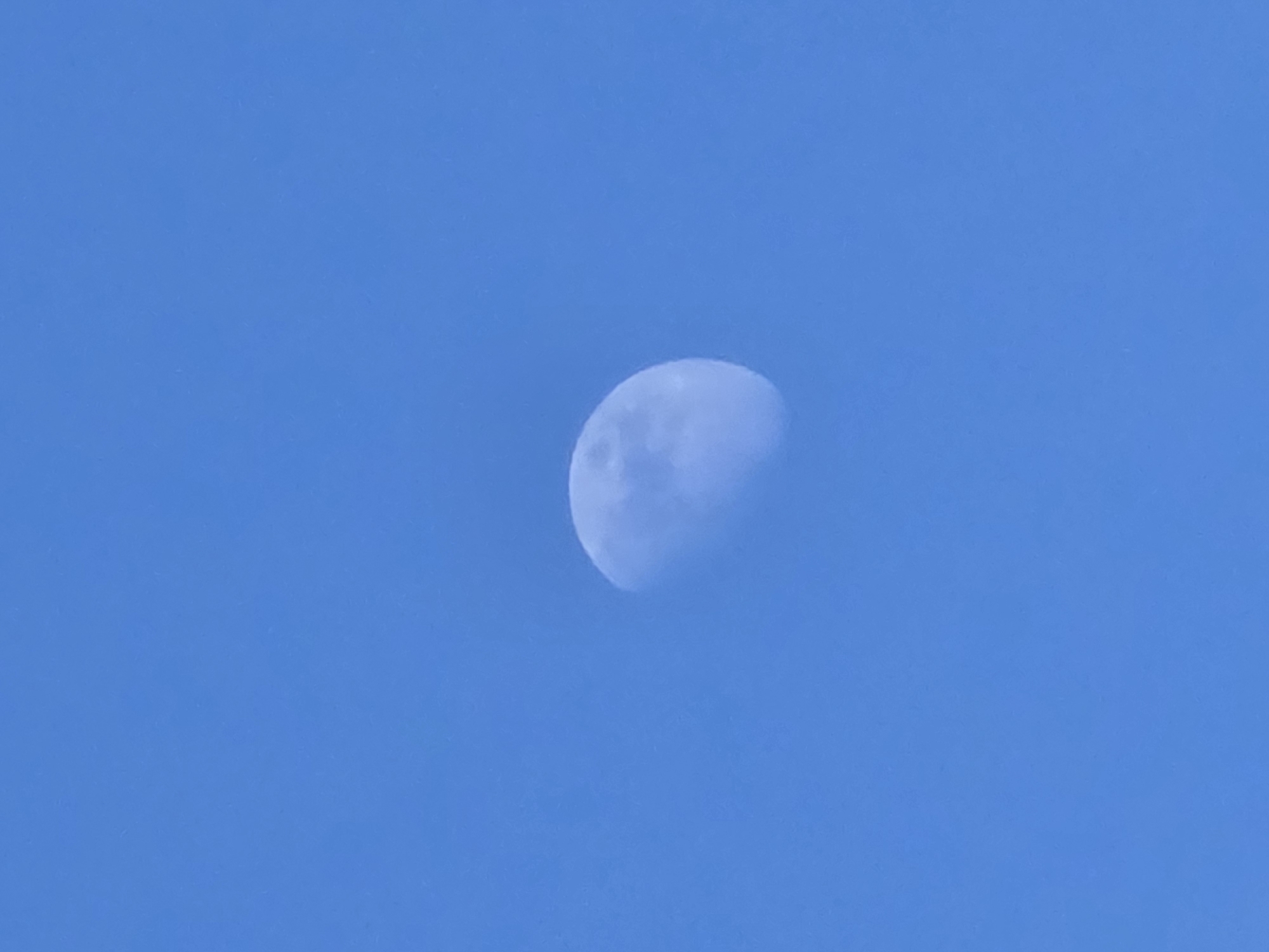 The image shows a half moon in a blue sky. The moon is the central subject and occupies a portion of the frame. There are no people or other objects present in the image. The environment is a clear blue sky. The image provides no specific information to identify the location as the city of Chaikovsky, Russia, nor is there any context to suggest that.