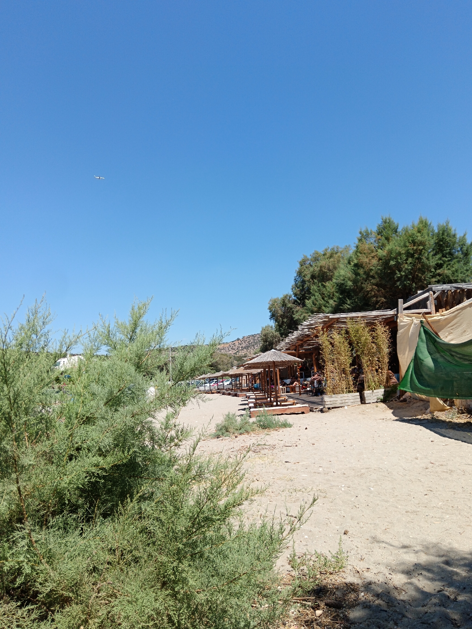 The image depicts a sunny scene at a beachside establishment in Agia Marina, Greece. In the foreground, a lush green shrub dominates the left side of the frame. The background features a sandy beach with several wooden umbrellas and seating areas, suggesting a relaxed atmosphere. Behind these, a rustic structure with a thatched roof and bamboo accents is visible, likely serving as a bar or restaurant. A green tarp is draped over part of the structure. Beyond the establishment, a dense line of trees forms a natural backdrop, with a gently sloping hill in the distance. The sky is clear blue, with a small airplane visible in the upper left quadrant. A few cars are parked behind the beach seating area. The ground is predominantly sand, with scattered vegetation. The overall impression is a tranquil beach setting.