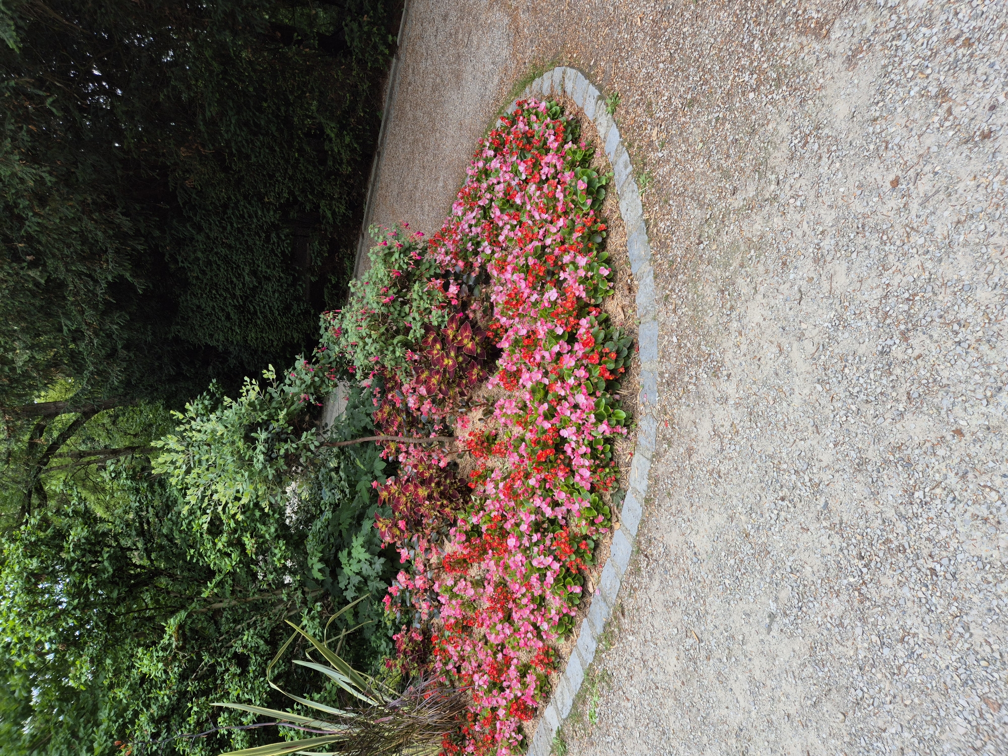 The image depicts a circular flowerbed filled with bright pink and red begonias, bordered by grey stones. Behind the flowerbed, various green shrubs and trees create a lush, natural backdrop. A gravel pathway curves around the flowerbed, leading into the distance. The scene is set outdoors in a park or garden setting. There are no people or animals visible in the image. The overall impression is one of a well-maintained public garden. The specific location in Landshut, Germany, cannot be determined from the visual information alone.