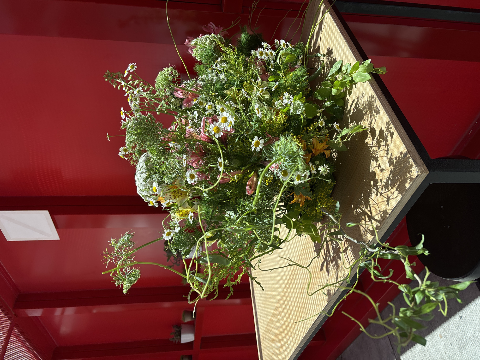 A vibrant and lush bouquet of mixed wildflowers and greenery is prominently displayed on a light wooden, geometrically shaped surface. The floral arrangement is abundant, featuring white daisy-like flowers with yellow centers, delicate pink alstroemeria, and various green elements including spiky umbelliferous plants resembling Queen Anne's Lace or wild dill, and winding green tendrils.
The wooden display surface exhibits a subtle grid pattern and is brightly lit by natural sunlight, casting strong, distinct shadows from the dense foliage and blooms. This wooden surface borders a dark, possibly black, frame or edge. The background is dominated by a striking, smooth red wall or structure, which reflects the light.
Further back on the red surface, a small white rectangular object with a diagonal cross marking is visible, possibly a label or an artistic detail. Below, hints of a red perforated mesh material are present, and on a lower red shelf, a few small potted plants can be faintly discerned. The strong shadows and bright illumination suggest a sunny day, likely during the midday or afternoon. The overall scene depicts a fresh, natural display within a modern, structured environment in Mexico City, Mexico.