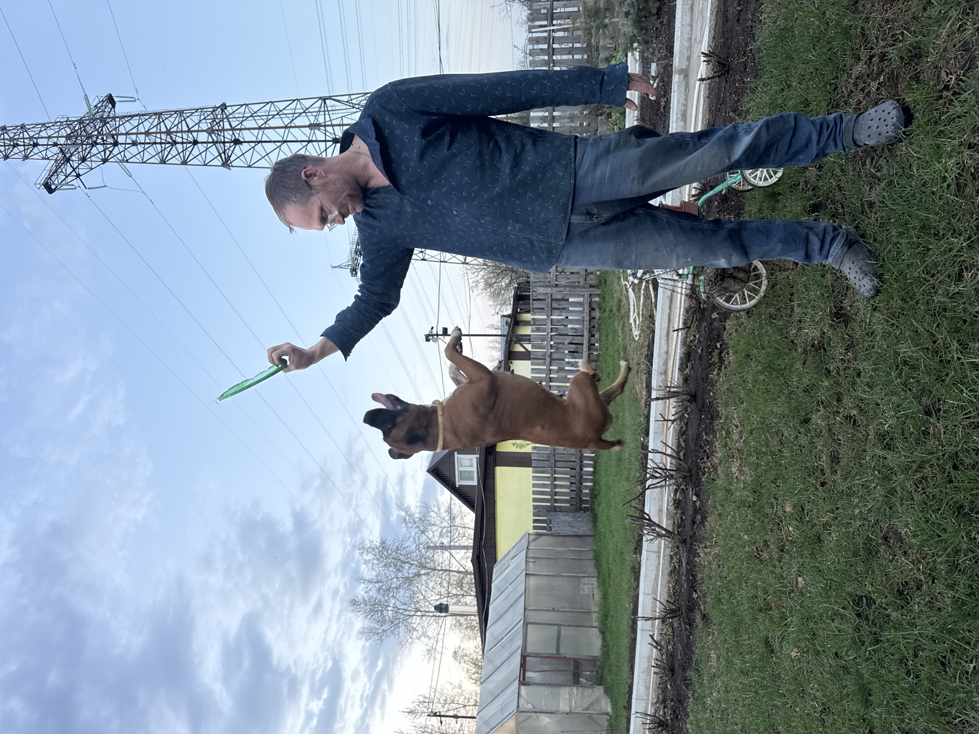 A man and a dog are playing in a yard. The man is fair-skinned, wearing a dark blue patterned shirt, blue jeans, and grey Crocs. He is holding a green object in his right hand, reaching towards the dog. The dog, a brown Boxer breed, is jumping up in the air, appearing to try and catch the object.
In the background, there is a house with yellow siding, a greenhouse, a metal fence, power lines, and green grass. A bicycle is laying on the ground.
Based on the location near overhead power lines and the style of houses, the location is likely in a suburban area of the city of Chaikovsky, Russia.