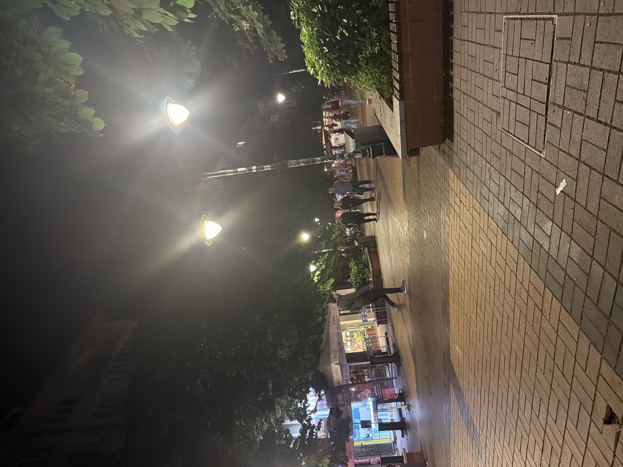 This image depicts a lively night scene on a pedestrian street or plaza in Sofia, Bulgaria. The area is brightly illuminated by several cone-shaped streetlights, casting a warm glow and creating lens flares. The ground is paved with rectangular bricks in varying shades of brown and gray, laid in a herringbone pattern, with a square metal grate visible on the right side.
Numerous people are present, seen walking, standing, and conversing. Several individuals are gathered around outdoor seating areas in front of storefronts, suggesting cafes or restaurants, with some seated at tables. Dense green foliage from trees and bushes lines both sides of the street, contrasting with the dark night sky.
In the mid-ground, a tall, striped pole stands vertically. Buildings are visible in the background, dimly lit beyond the immediate street lighting. On an awning above one of the outdoor seating areas, the text "WELCOME TO SOPHIA" is partially legible, along with a "Coca-Cola" logo. Other signs and posters display indistinct text.
The scene captures a clear night with no visible rain or fog, characterized by the vibrant artificial lighting and the social activity of people enjoying an evening out in an urban setting.