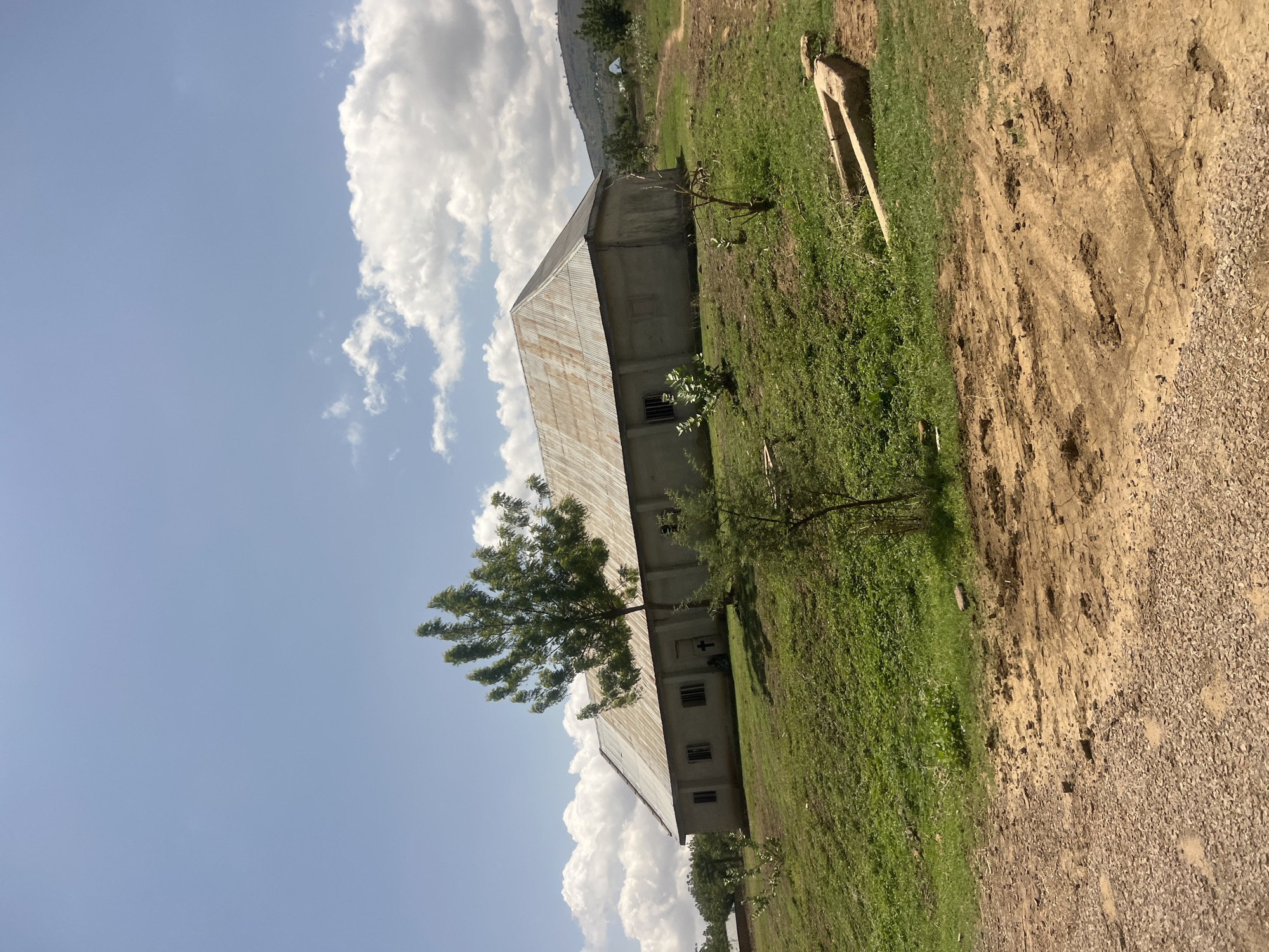 The image depicts a rural or semi-rural setting in Balanga, Nigeria, under a bright, partially cloudy sky. The primary subject is a single-story building with light-colored, possibly concrete walls and a weathered, corrugated metal roof. The building features multiple rectangular windows, some equipped with security bars. A door positioned on the left half of the building's facade is adorned with a white cross symbol on its lower panel. A prominent, leafy tree stands directly in front of this door, partially obscuring it and an individual seated or crouching at its base.
The building is situated on a gently rising slope covered in green grass and scattered small bushes. In the foreground, a multi-textured path consisting of gravel on the left and packed dirt with visible tire tracks and impressions on the right extends across the frame. A concrete trough-like structure is partially visible, embedded in the grass on the right side of the foreground.
The background consists of ascending terrain with sparse vegetation and trees. To the far right, a dirt path climbs uphill, and a white, dish-shaped structure (likely a satellite dish) is discernible on a distant, vegetated hillside. The overall scene suggests a functional structure within a natural, unpaved environment.
