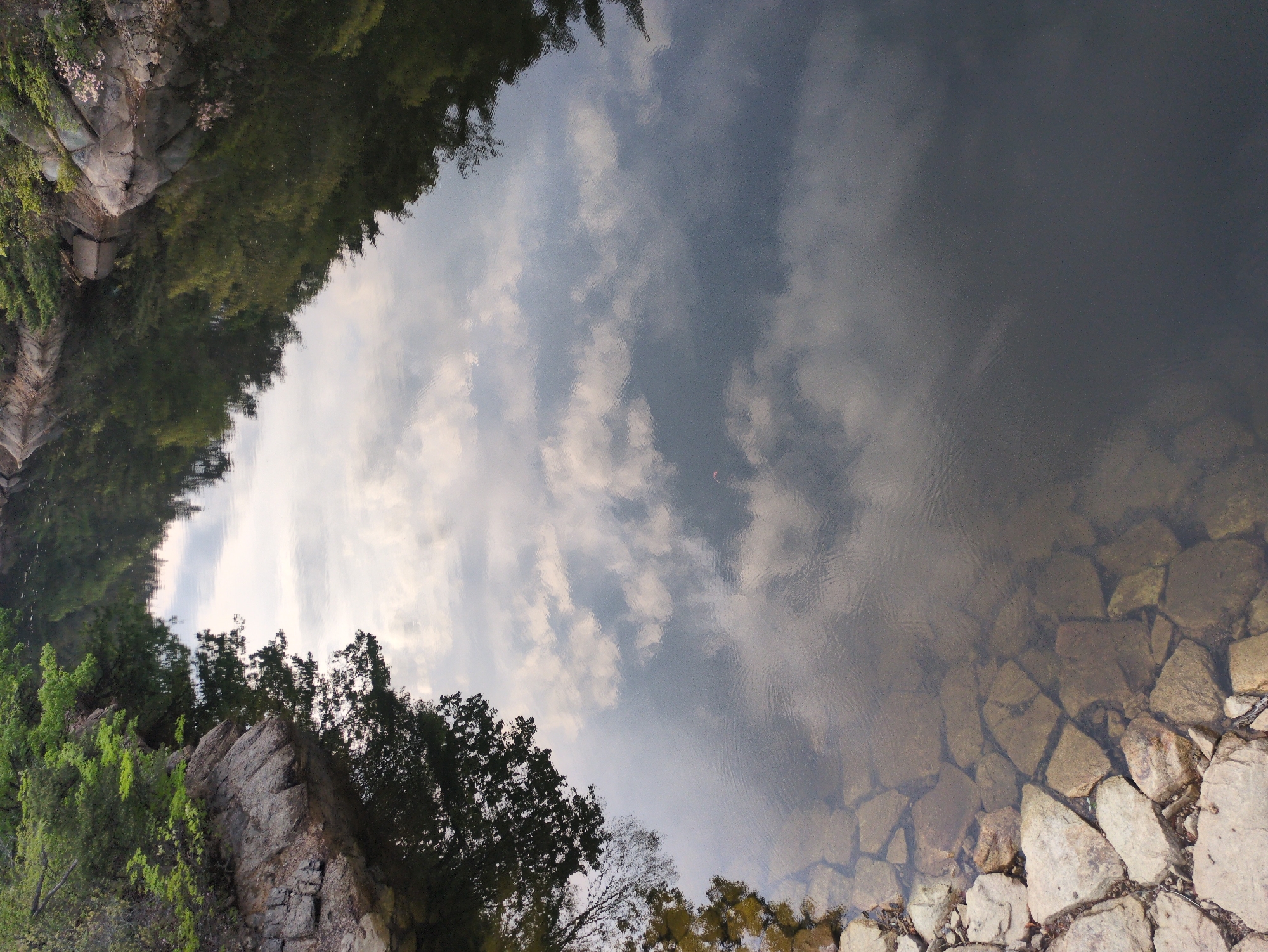 The image presents a serene natural landscape, oriented 90 degrees clockwise from its natural upright position. When viewed correctly, the central and upper parts of the frame are dominated by a body of water that acts as a mirror, reflecting a sky filled with scattered white and grey clouds.
On the left side, a rugged bank rises, characterized by large, multi-faceted rocks in shades of grey and brown. These rocky formations are partially covered by lush green vegetation, including dense trees and bushes. Closer inspection reveals small clusters of delicate pink flowers growing amidst the foliage on the rocks.
The surface of the water, a mix of dark and lighter tones, shows slight ripples that gently distort the reflections of the sky and the trees from both banks. These reflections suggest a bright, possibly overcast or partly cloudy daytime setting.
Towards the right side of the image, the water becomes shallower, revealing a bed of large, irregular rocks that are partially submerged. These stones, varying in size and hue from light tan to dark grey, form a natural boundary along the water's edge. Further along this bank, the dark silhouettes of more trees are visible, also contributing to the reflections in the water.
The scene is devoid of human activity or presence, emphasizing a tranquil and untouched natural environment. There is no visible text. The overall impression is one of peaceful natural beauty.