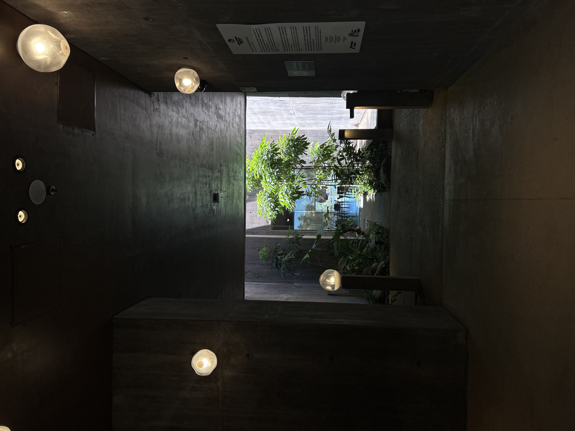 The image presents a low-angle view of an interior space, likely a building, that opens to an outdoor courtyard or garden area. The space is predominantly constructed of dark concrete, exhibiting a minimalist and modern architectural style.
Several spherical light fixtures are affixed to the walls and ceiling, providing illumination to the dimly lit interior. The courtyard features lush greenery, including trees and plants, which contrast with the stark concrete of the building.
The outdoor area appears to be a public space, evidenced by the presence of tables and chairs visible through the plants. There's also a sign attached to the ceiling with text. The location is Mazatlán, Mexico.