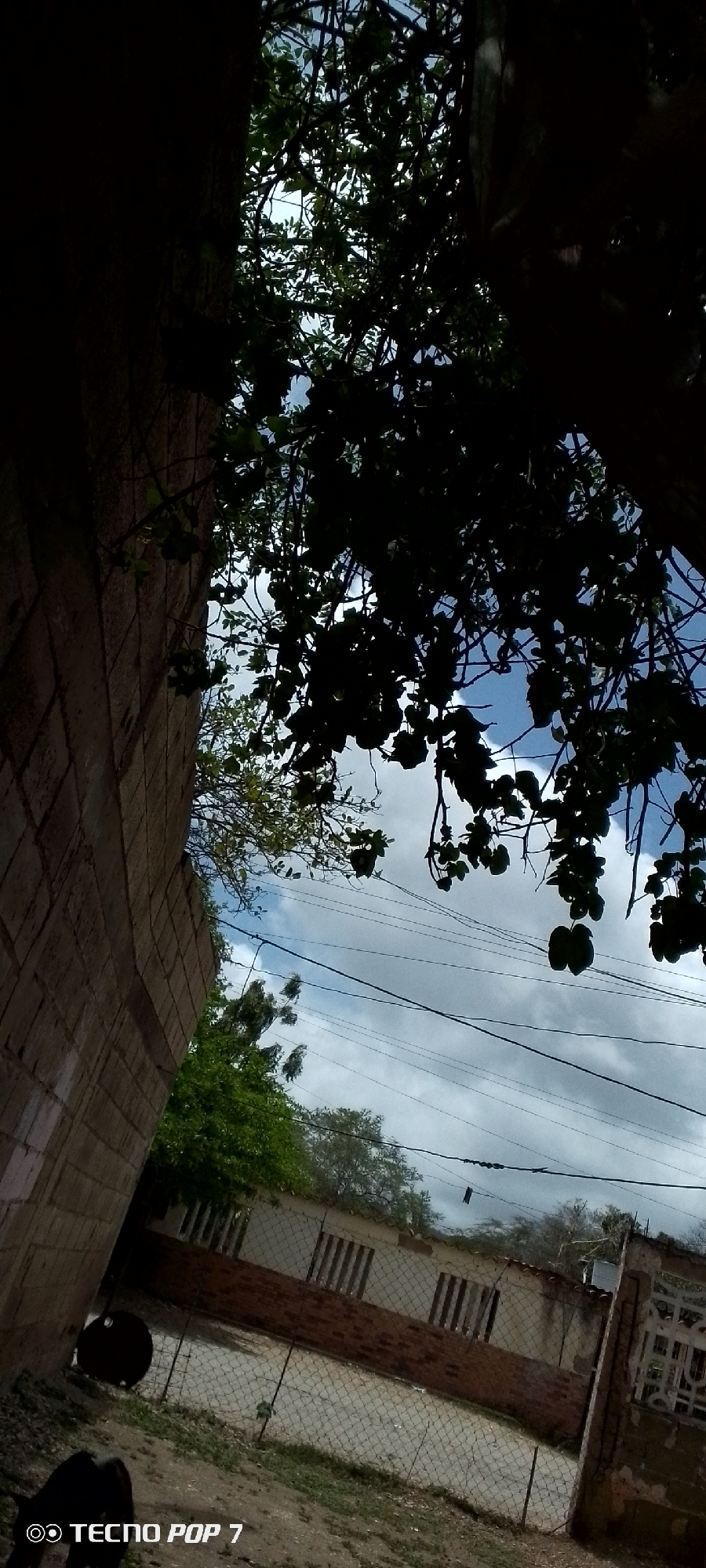 The image, captured in Altagracia, Venezuela, depicts an outdoor scene with a strong focus on foliage silhouetted against a cloudy sky. A textured, light-colored brick wall dominates the left side of the frame, extending from the bottom left corner upwards. Overhanging branches with dark green leaves obscure a significant portion of the sky, creating a dappled effect. The sky itself is a mix of blue and gray clouds. In the middle ground, a building with a light-colored facade and a terracotta-tiled roof is visible, featuring rows of windows with vertical bars. A chain-link fence runs in front of the building. The ground appears to be a mix of dirt and gravel, with some sparse vegetation. A dark, circular object is partially visible near the base of the brick wall. The bottom of the image shows the text "TECNO POP 7".