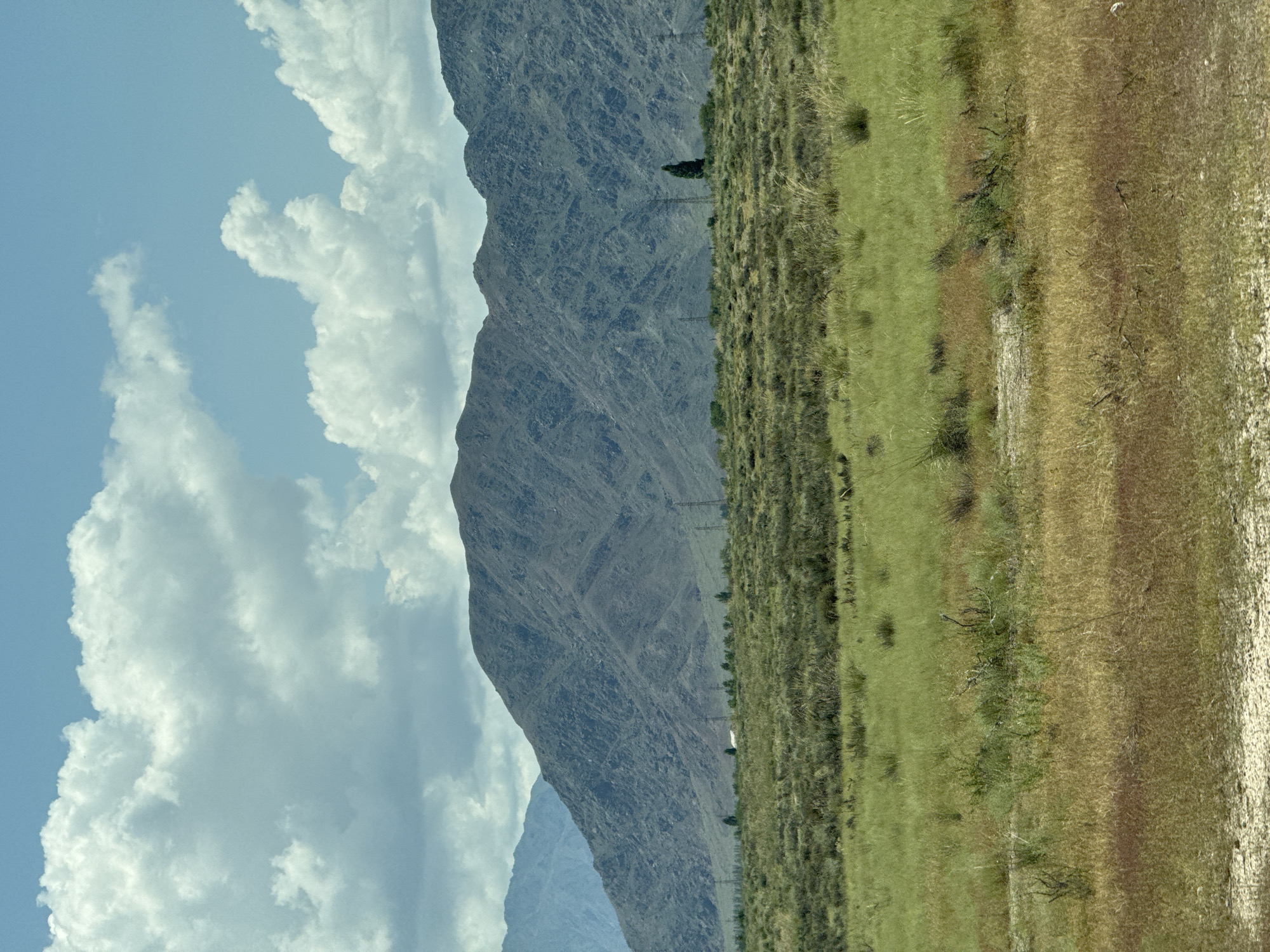 The image displays a panoramic view of a mountainous landscape under a cloudy sky. In the foreground, there is dry grass and scrub brush, with patches of green grass further back. A line of trees runs horizontally across the midground, behind which are several utility poles. A single tall, dark green tree stands out against the backdrop of a large, rocky mountain range that dominates the scene. The sky is a pale blue, filled with large, puffy white clouds. The environment appears arid and natural. There are no people or specific objects that would indicate a city location. This scene is not located in the city of Balykchy, Kyrgyzstan.