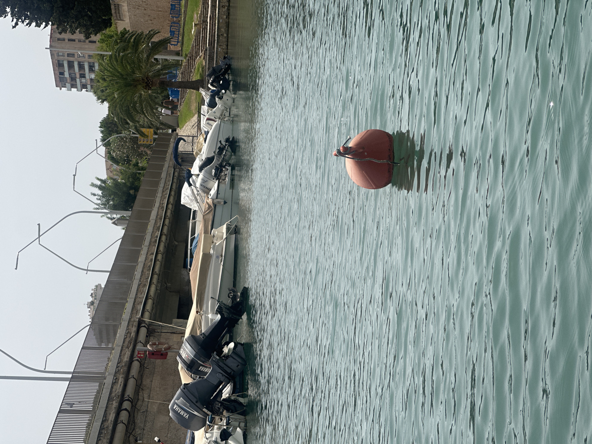 In Palma, Spain, a body of water is depicted with several boats docked. One boat has two Yamaha outboard motors. A red buoy floats in the foreground. In the background, a bridge with railings and streetlights crosses the water. Behind the bridge, buildings and a palm tree are visible. The scene suggests a harbor or marina setting.