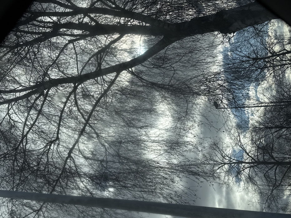 The scene depicts an outdoor environment in Oberhausbergen, France, during winter or early spring, characterized by bare deciduous trees against a dynamic sky. A prominent multi-trunked tree with numerous fine, pendulous branches stands on the right, silhouetted by the light from above. On the far left, a tall, slender grey utility pole extends vertically. In the mid-ground, a dark street lamp is visible among other leafless trees. The sky features a combination of dense grey and white clouds, with brighter areas indicating sunlight and intermittent patches of pale blue. The scene contains no individuals, animals, or discernible activities. A subtle reflection and dark framing on the right edge are consistent with an interior vantage point.