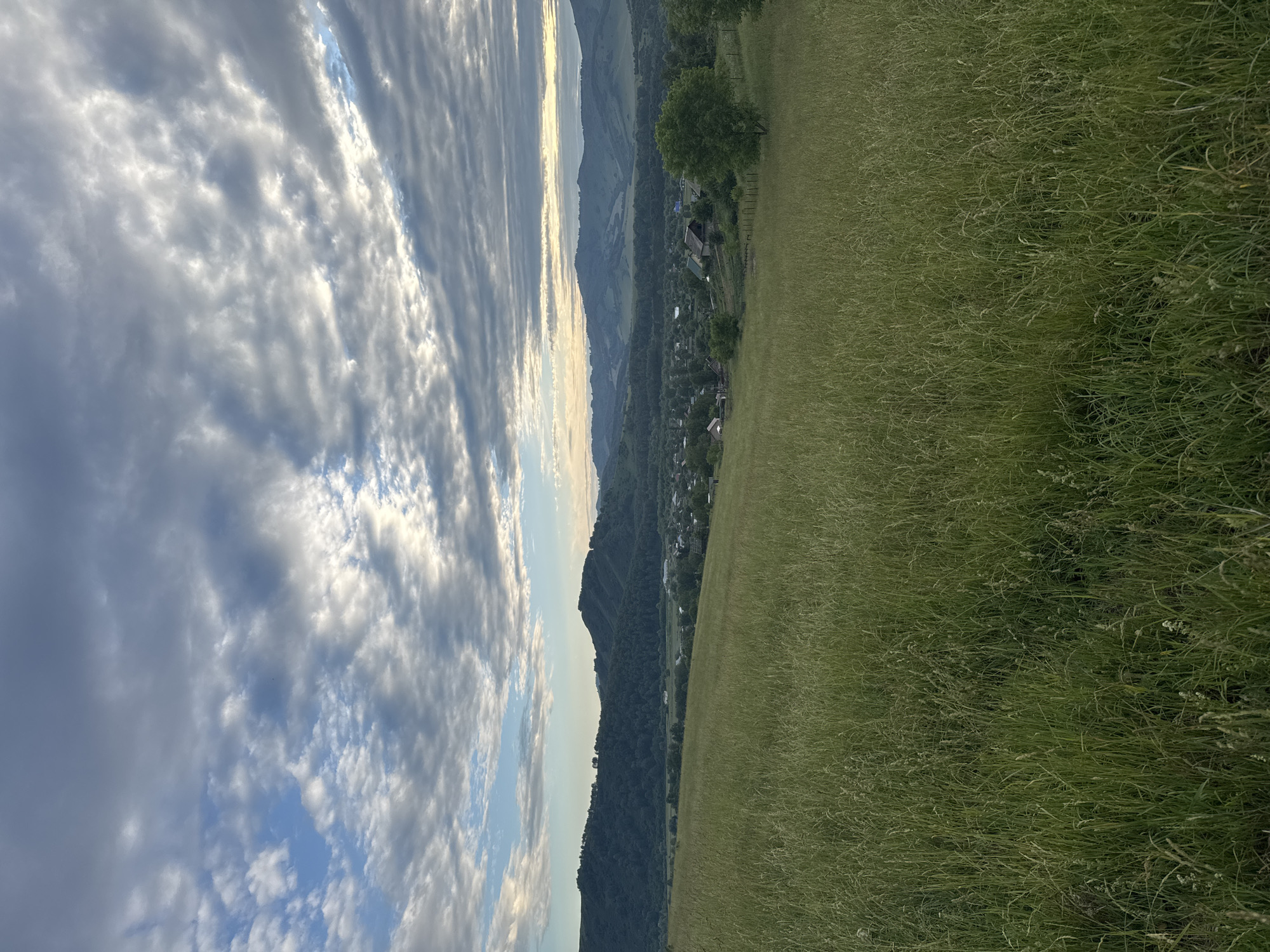 An outdoor, eye-level, medium shot captures a panoramic view of the village of Soloneshnoye, Russia, nestled within a valley. The foreground is dominated by a lush, green meadow of tall grass, swaying gently. In the mid-ground, a cluster of houses with varying rooflines forms the village, interspersed with trees. Beyond the village, rolling, tree-covered hills rise to meet the horizon. The sky above is a dramatic expanse of clouds, with patches of blue peeking through, suggesting either dawn or dusk. The overall atmosphere is serene and natural.