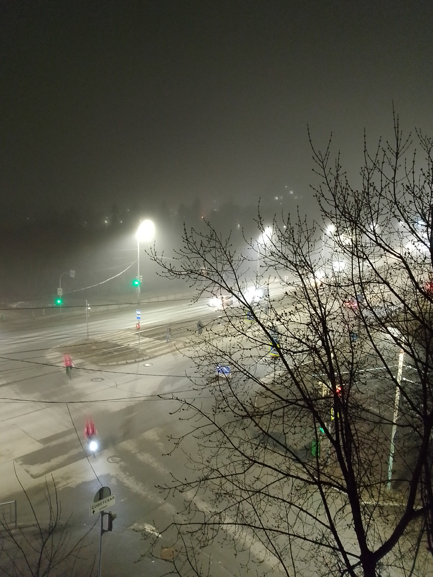 The image depicts a nighttime scene in Izhevsk, Russia, obscured by fog or mist. The street, presumably Sovetskaya Street based on the sign in the lower left, is wet and reflects streetlights. Several streetlights illuminate the area, their light diffusing in the fog. Traffic signals are visible, displaying both green and red lights. Two pedestrians can be seen at the crosswalk on the left. A network of bare tree branches occupies the right side of the frame. The overall atmosphere is dark and indistinct due to the foggy conditions.
