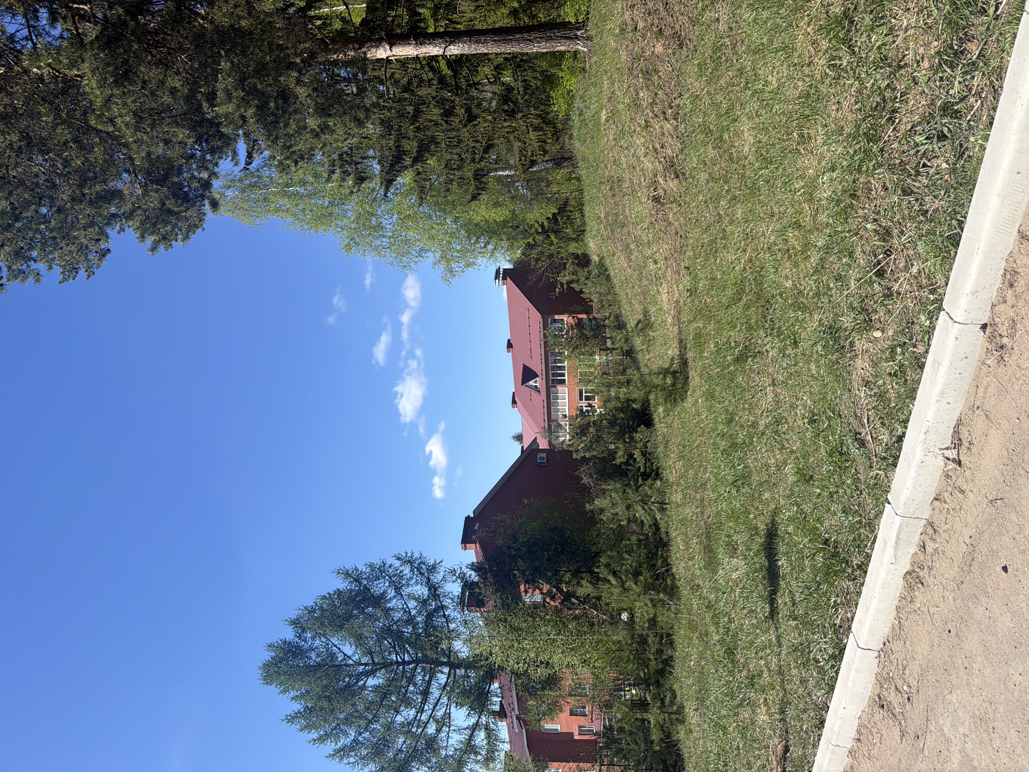 A residential building with a red roof is visible behind trees in Noviy, Russia. The building is several stories tall with multiple windows. A grassy slope leads down to a concrete curb and dirt path. The sky is blue with scattered clouds. Trees frame the scene, some casting shadows on the grass.