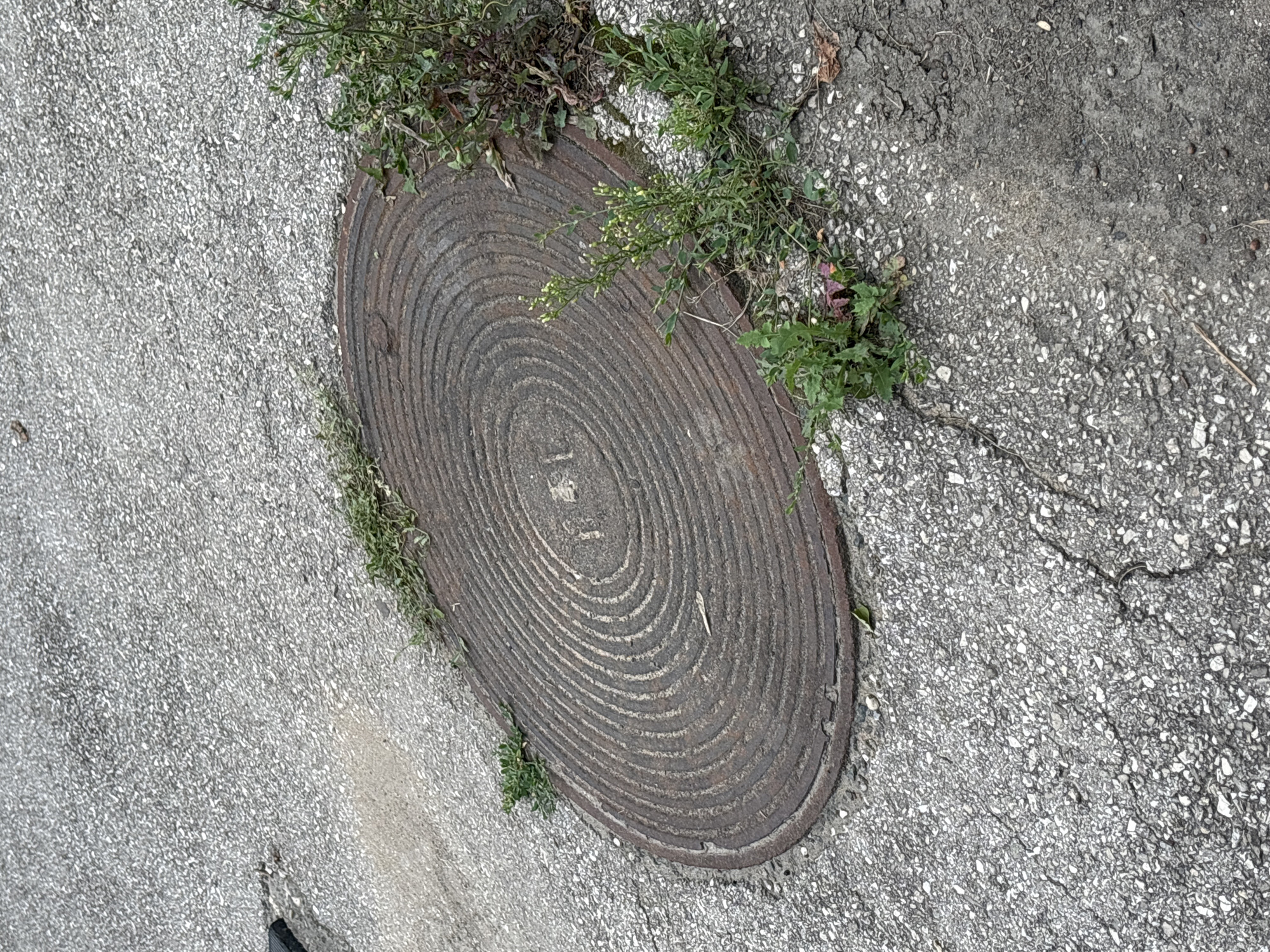 A circular, rusty manhole cover is embedded in asphalt. The manhole cover has concentric rings etched into its surface. A small amount of green vegetation is growing around the edges of the manhole cover and in the cracks of the asphalt. The asphalt appears weathered and cracked in places. The scene depicts a typical urban streetscape.