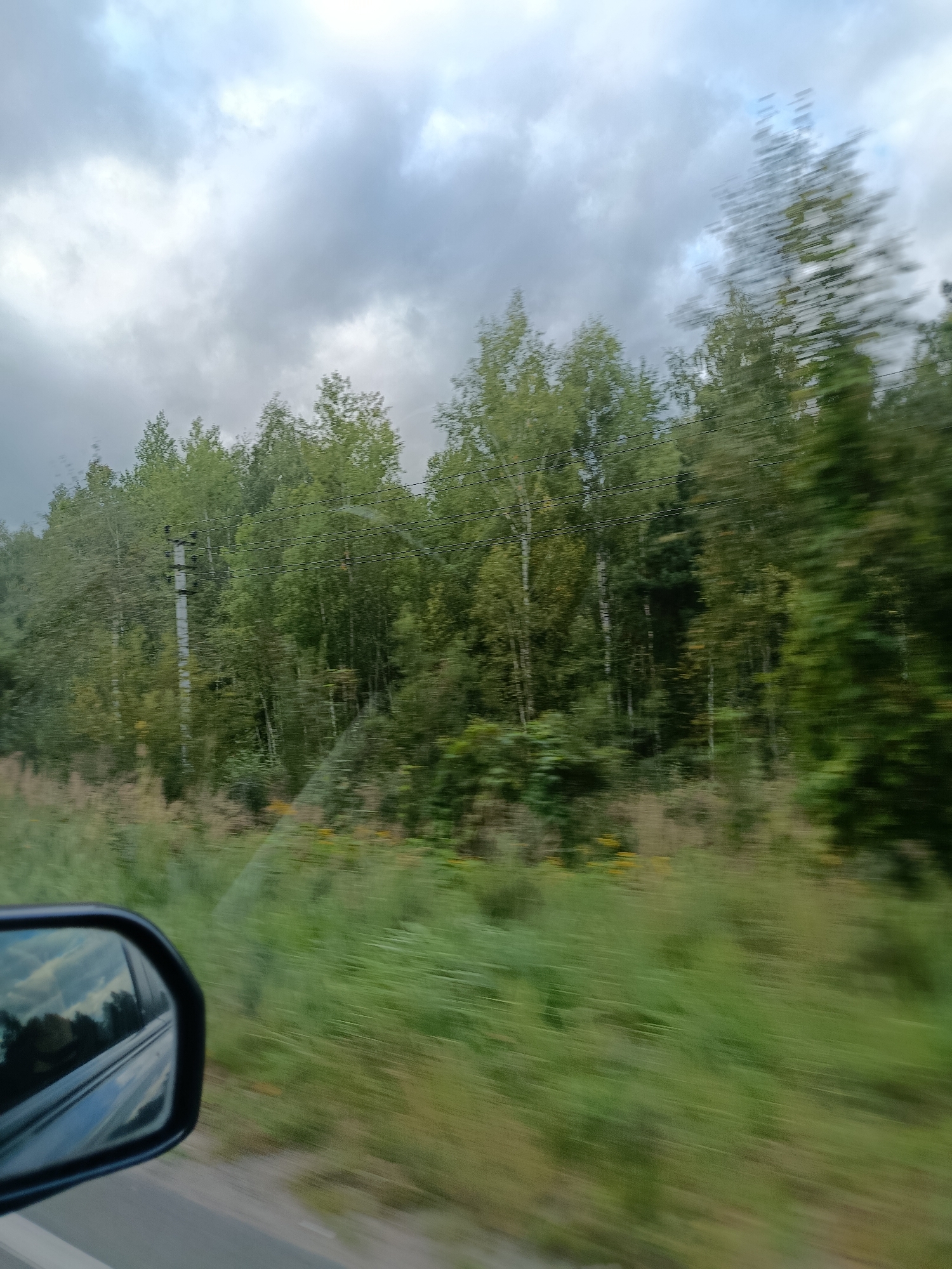 The image is a motion-blurred photograph taken from inside a vehicle traveling along a road, likely in or near the city of Верея, Russia. The perspective is from the passenger side, with the side mirror visible in the lower left corner reflecting a cloudy sky and trees.
The scene outside the vehicle is dominated by a dense forest of deciduous trees, primarily with light-colored bark, suggesting birch trees. The foliage is a mix of green and some autumnal yellow hues, indicating it may be late summer or early autumn. A utility pole with several wires running horizontally is visible in the middle ground, positioned against the trees. The foreground consists of a grassy verge bordering the paved road, which is also blurred due to motion. The sky is overcast with heavy, grey clouds. The overall impression is that of a rural or semi-rural landscape encountered during a car journey.