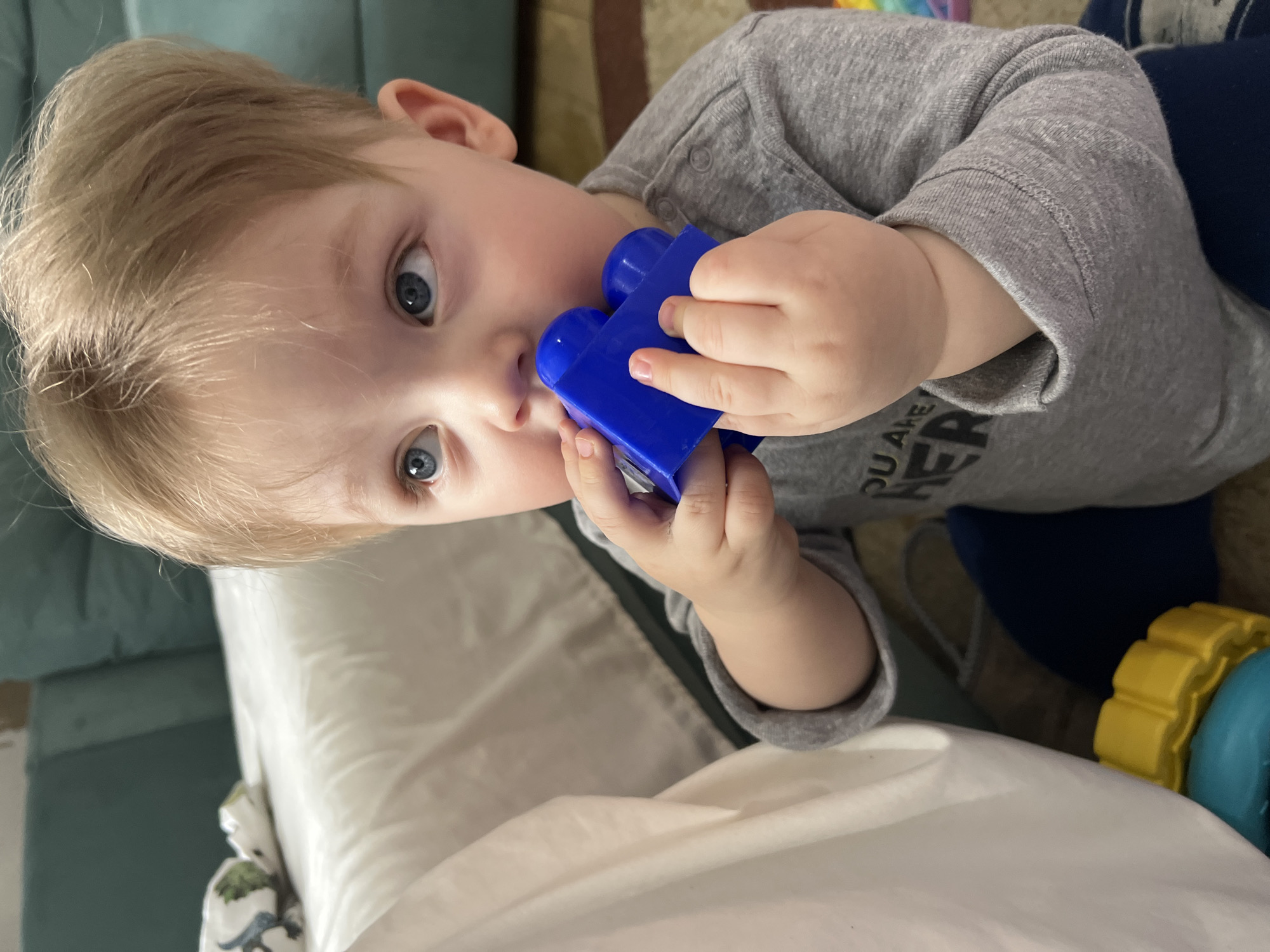 A young child with blonde hair and blue eyes is holding a blue plastic toy to their face. The child is wearing a gray long-sleeved shirt. They are lying down on a white surface, possibly a bed or blanket. Behind them, there is a green cushion and a brown patterned rug. Another toy, yellow and blue, is partially visible near the child. It is not possible to determine if the location is in Votkinsk, Russia.