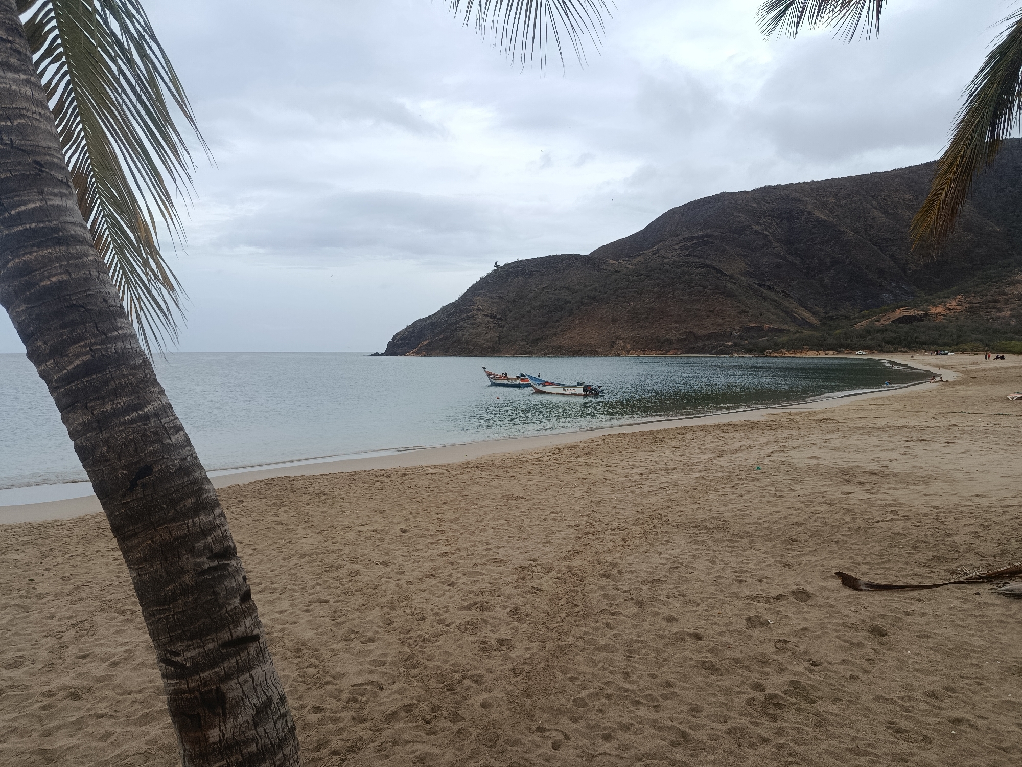 The image depicts a tropical beach scene, likely in Juan Griego, Venezuela, on a cloudy day. The foreground features the textured, sandy beach with visible footprints. A portion of a palm tree trunk, with rough bark and dark discoloration, is prominently positioned on the left side of the frame, with its fronds extending into the upper portion of the image. The calm, grayish-blue water of the sea meets the sand at the shoreline. Two small, colorful boats are anchored or adrift on the water. In the background, a large, rugged, brown mountain slopes down to meet the sea, with sparse vegetation visible on its surface. The sky is overcast with clouds. A few distant figures can be seen on the beach in the far right of the image.