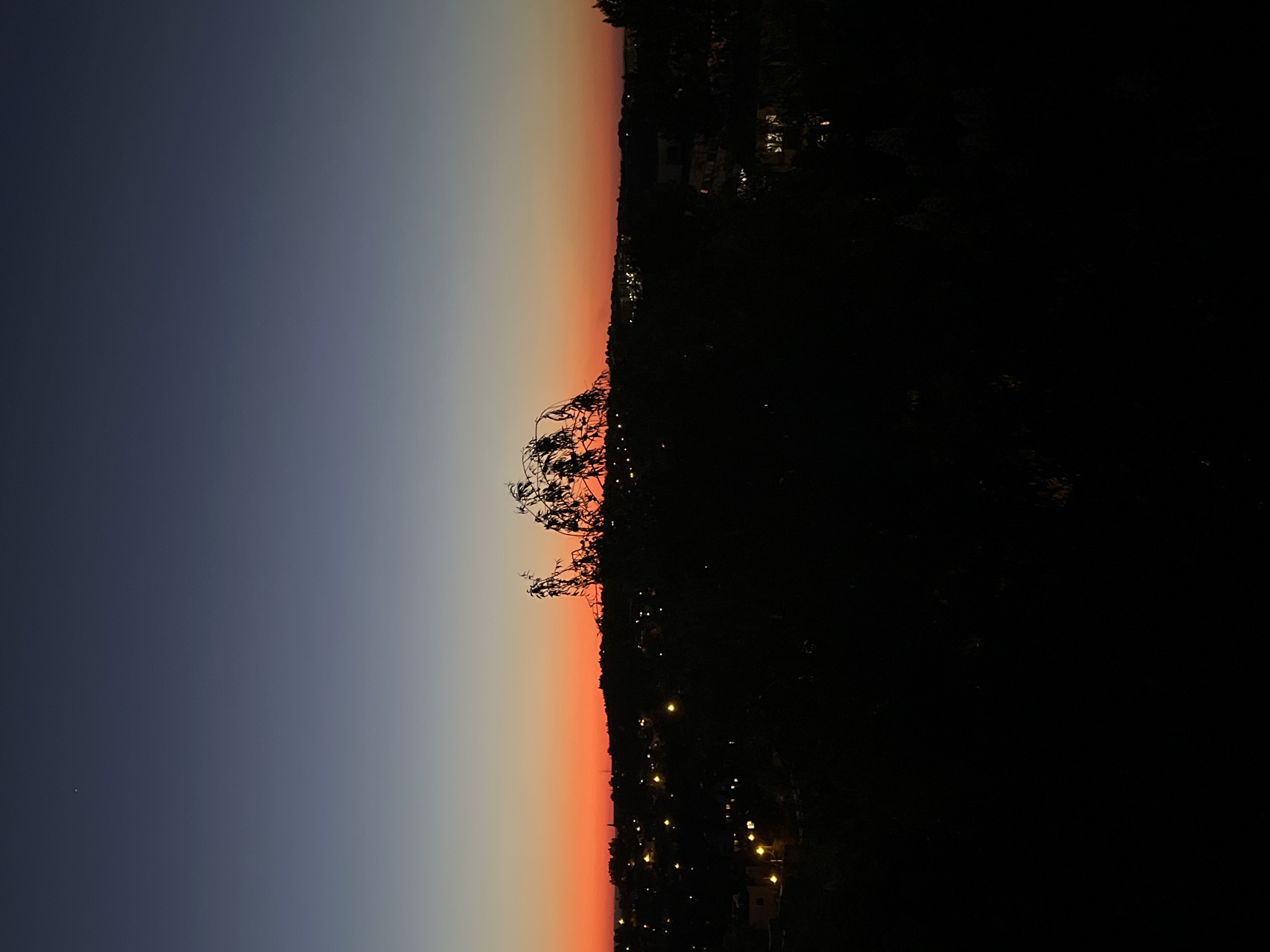 The image depicts a sunset over a cityscape, with a silhouetted tree branch in the foreground. The sky transitions from a dark blue on the left to a light orange near the horizon. The cityscape is primarily dark, with scattered points of light suggesting streetlights or building windows. The location appears to be a hilly or mountainous area, overlooking a city in Unknown, Unknown.