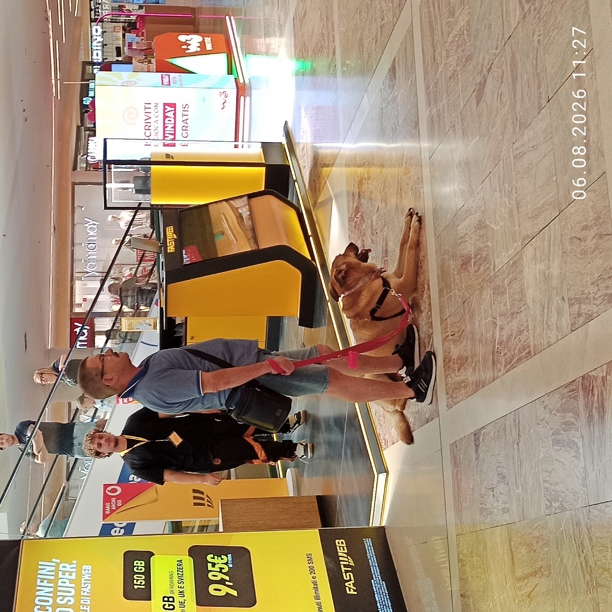 A medium shot captures a man walking a dog in what appears to be a commercial indoor setting, possibly a mall. The man, wearing a blue polo shirt and denim shorts, is holding a red leash attached to a light brown dog, which is lying down on the floor. The dog wears a black harness. In the background, there are escalators with several people on them, as well as various commercial displays and storefronts. One prominent display is a yellow and black sign with text including "FASTWEB" and "150 GB." Another display features a large, illuminated graphic with text in Italian, possibly an advertisement. The floor is tiled with a marble-like pattern. A timestamp "06.08.2026 11:27" is visible in the bottom right corner. The location is identified as Bari, Italy.