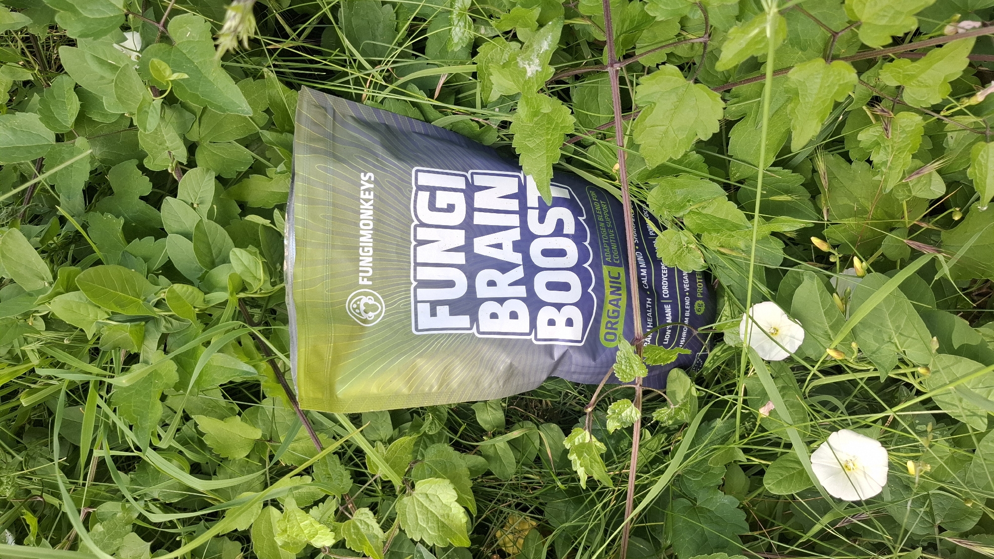 The image is an outdoor, close-up shot of a package of "Fungi Brain Boost" nestled among green foliage and grass. The package has a gradient design from green at the top to dark gray at the bottom, with white text. The words "FUNGI BRAIN BOOST" are prominently displayed in large white letters. Below this, the word "ORGANIC" is in green text, followed by smaller white text indicating it is an "ADAPTOGEN BLEND FOR COGNITIVE SUPPORT." A list of ingredients such as "LION'S MANE," "CORDYCEPS," and "MUSHROOM BLEND" is visible at the bottom of the package. Two white flowers with yellow centers are in the foreground, partially obscured by the leaves and package. The scene is lit by natural daylight, and the overall impression is of a product placed in a natural, slightly wild environment. There are no people present, and no actions or interactions are depicted. The image does not contain any information or visual cues that would allow for the determination of its location within the city of Sofia, Bulgaria.