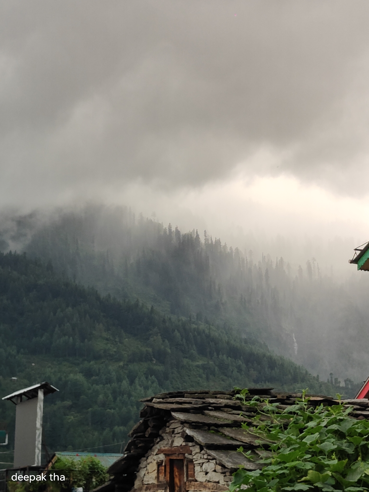 The image depicts a cloudy, overcast day in Vashisht, India, with a focus on a mountainside covered in dense evergreen trees shrouded in mist. The foreground features the stone and slate roof of a building, with greenery growing from it. To the left, a chimney-like structure with a slanted roof stands out. The overall atmosphere is moody and serene, characteristic of the Himalayan region. A small pink speck, possibly a drone or a kite, is visible in the upper sky. A barely visible signature, "deepak tha," is present in the lower left corner.